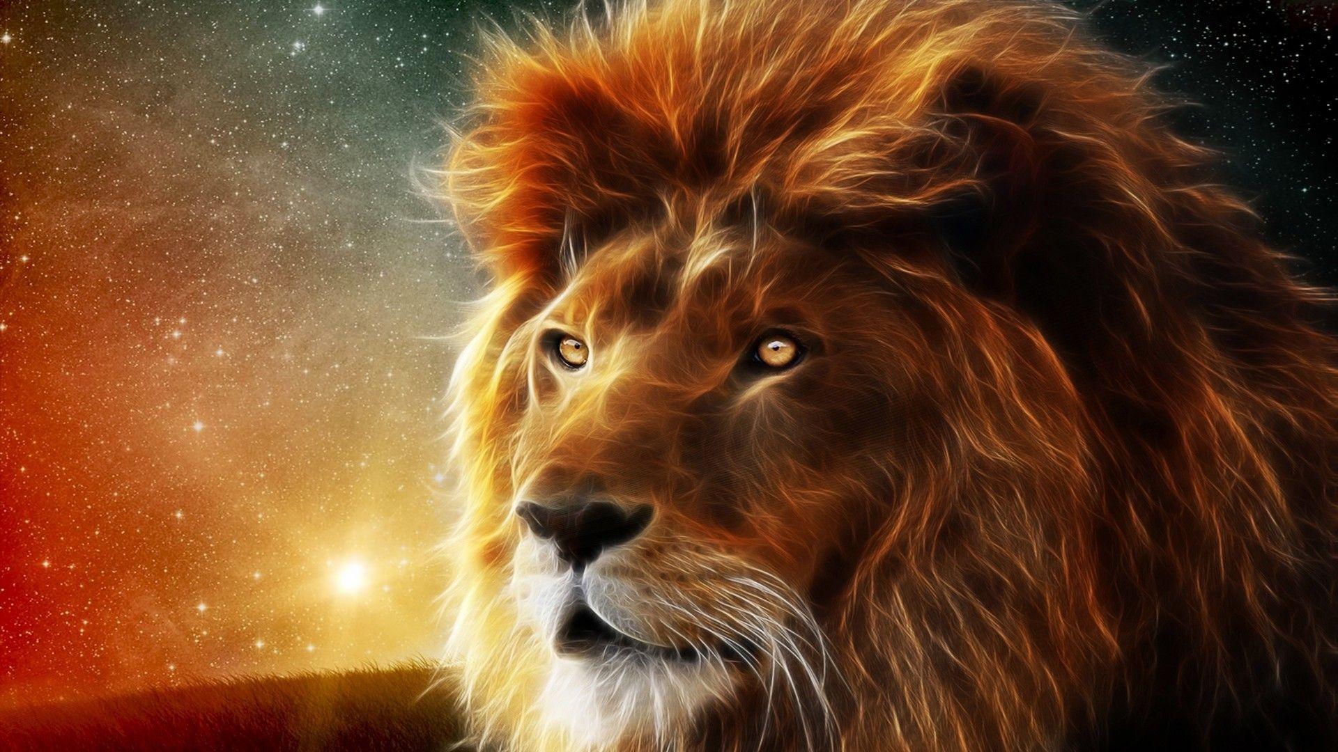 1920x1080 Lion Face Image HD