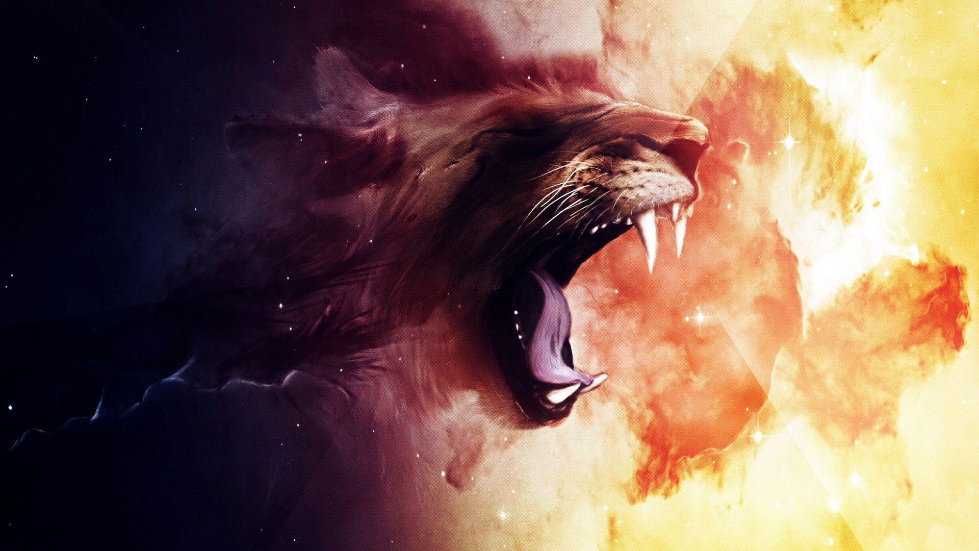 1920x1080 Lion, Face, Cool, Wallpaper, High .