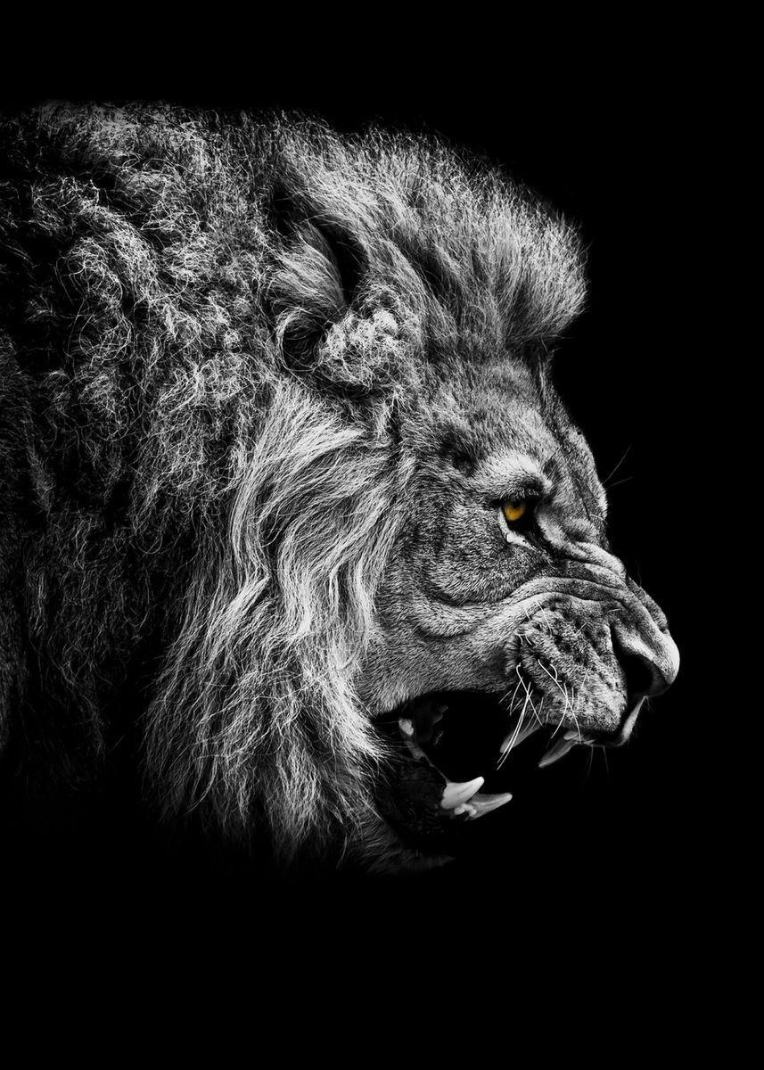 857x1200 angry king lion face ' Metal Poster .displate.com · In stock