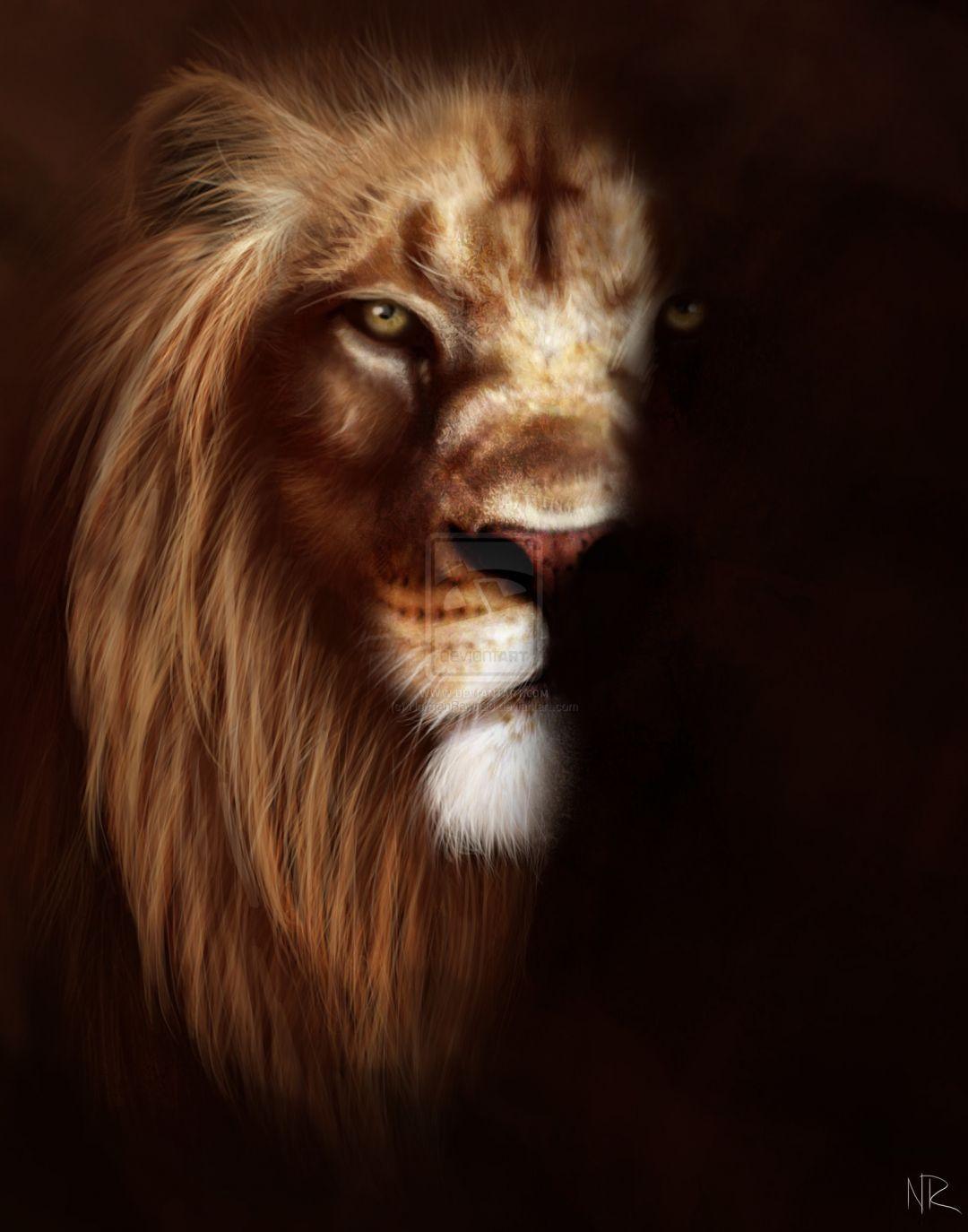 1080x1374 Android, iPhone, Desktop HD Background .