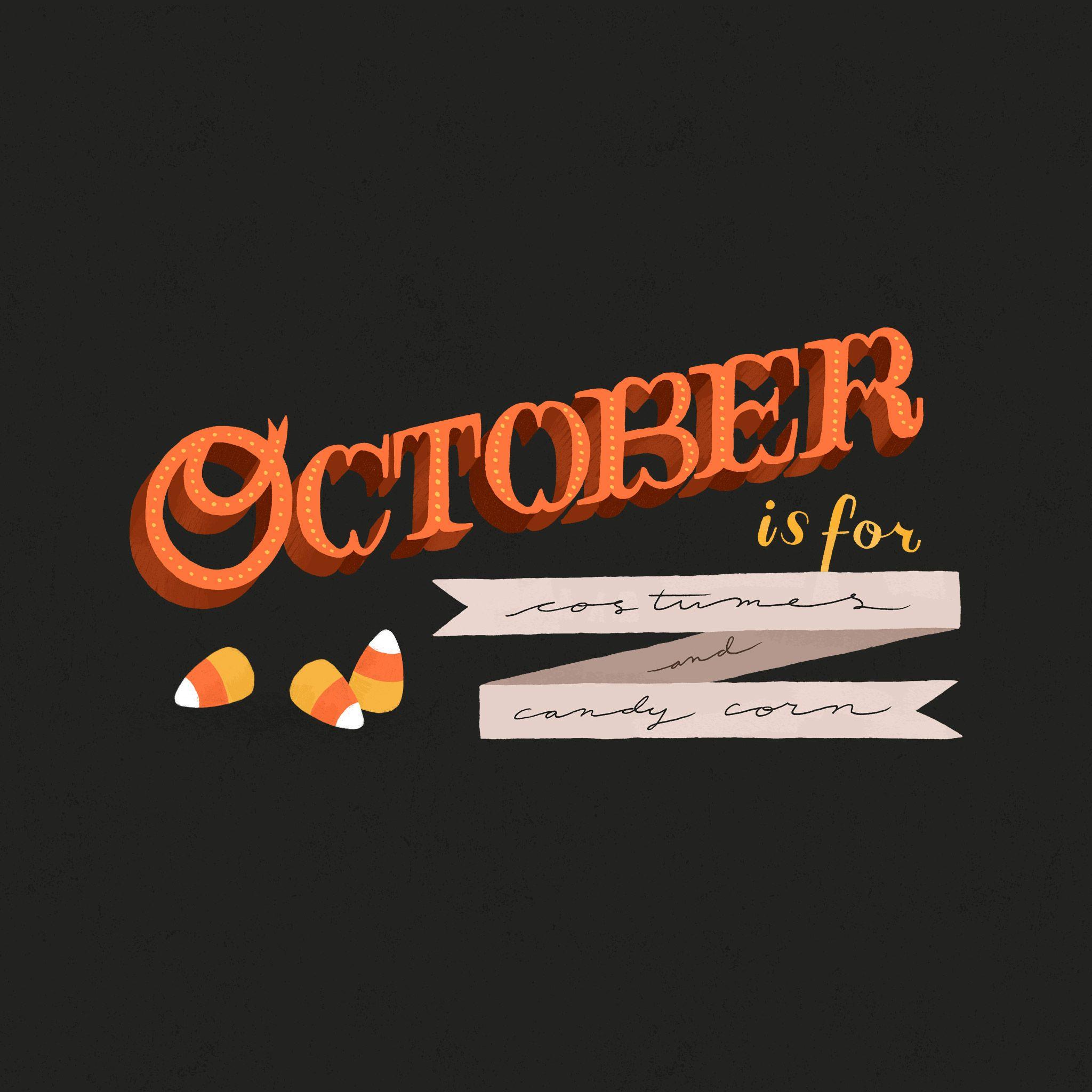 2048x2048 The Desktop Wallpaper Project Archive Fox Is Black