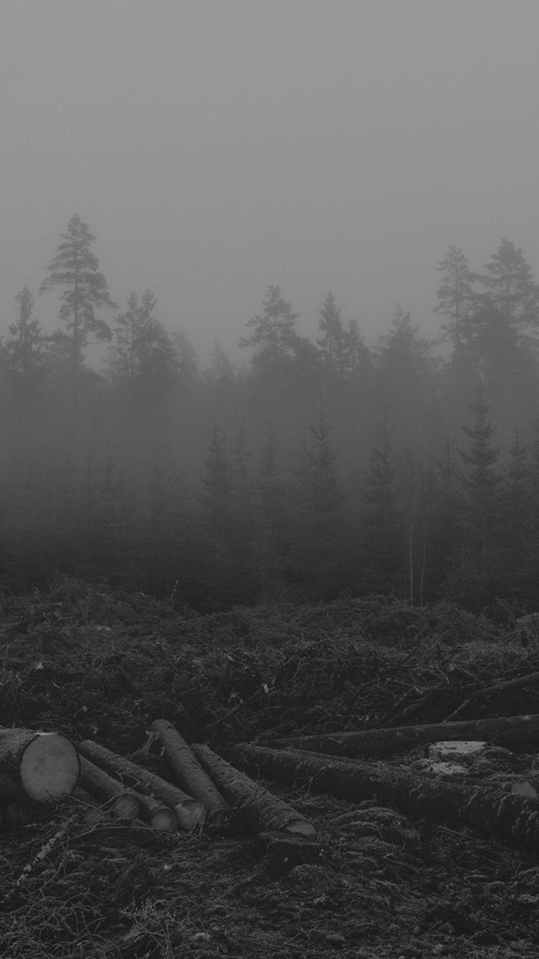 1080x1920 Free download Foggy Forest Trees iPhone .