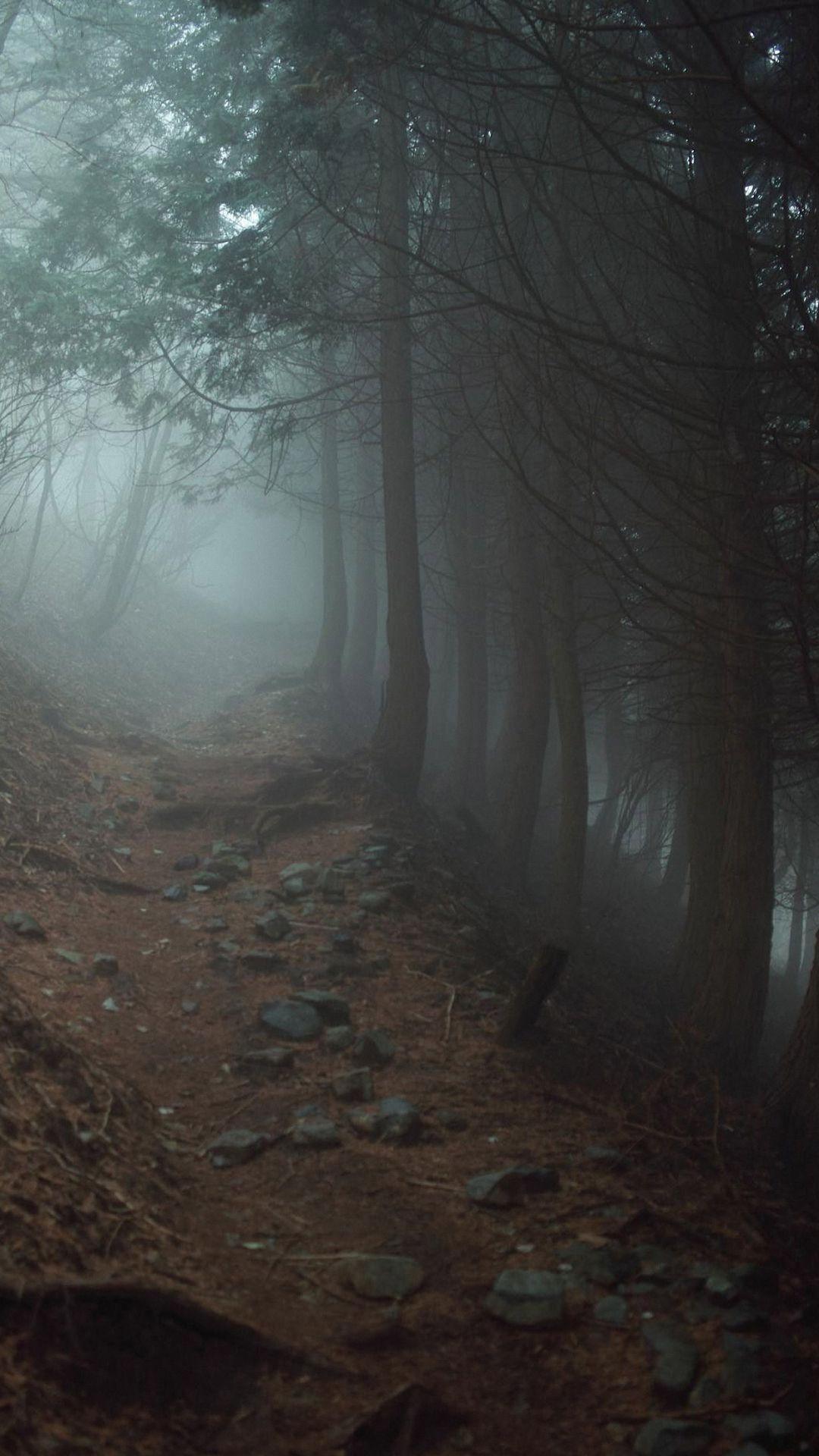 1080x1920 Hd Nature Wood Foggy iPhone 6s Plus .itl.cat