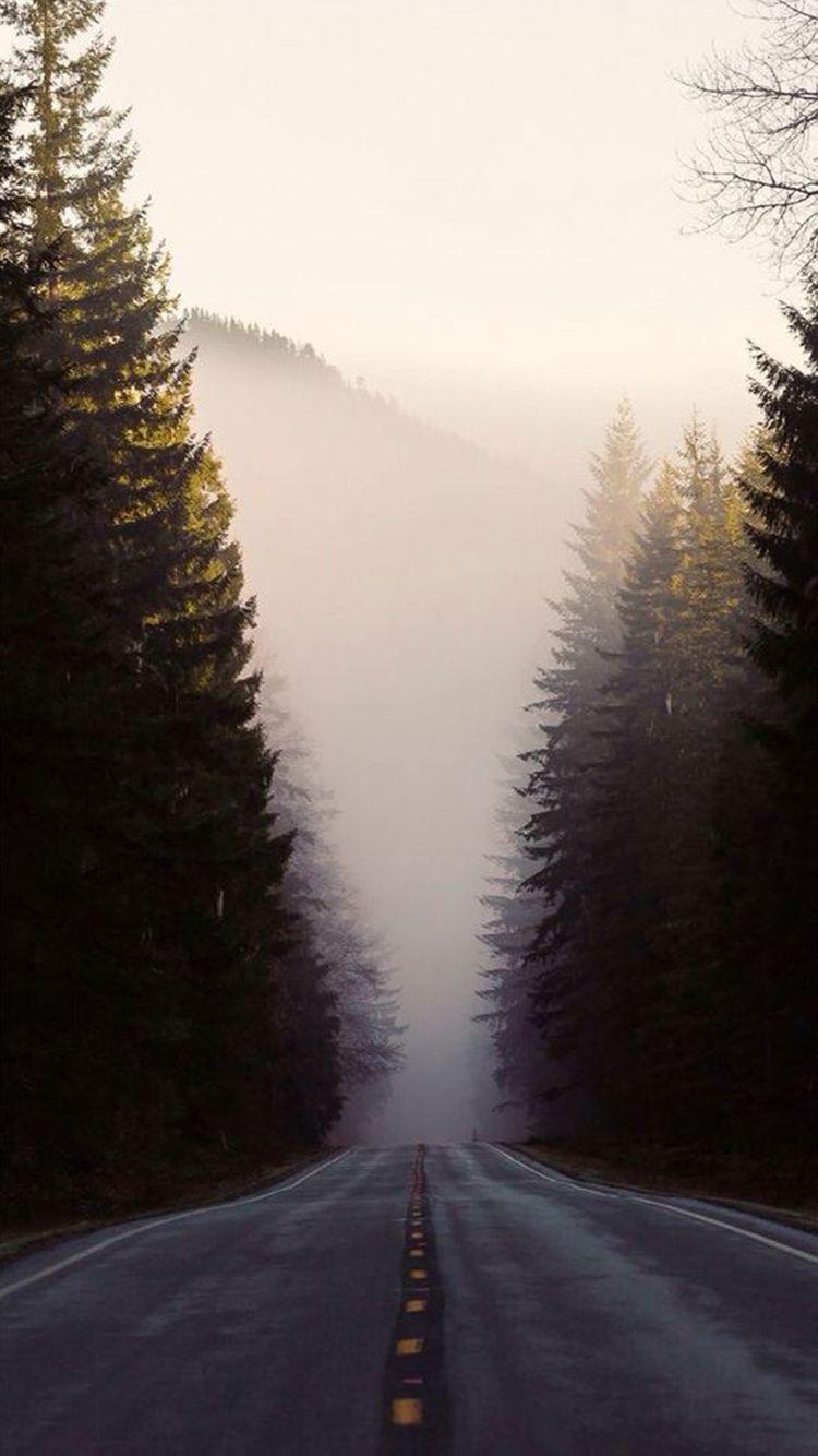 750x1334 Misty Forest Road Pine Trees iPhone 6 .
