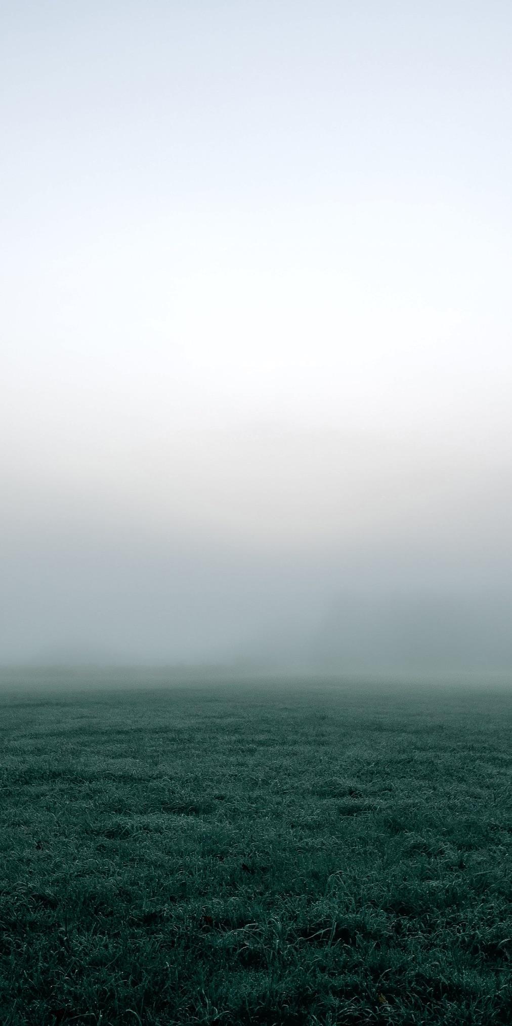 1012x2025 Foggy Field, iPhoneX. iPhone X .get.
