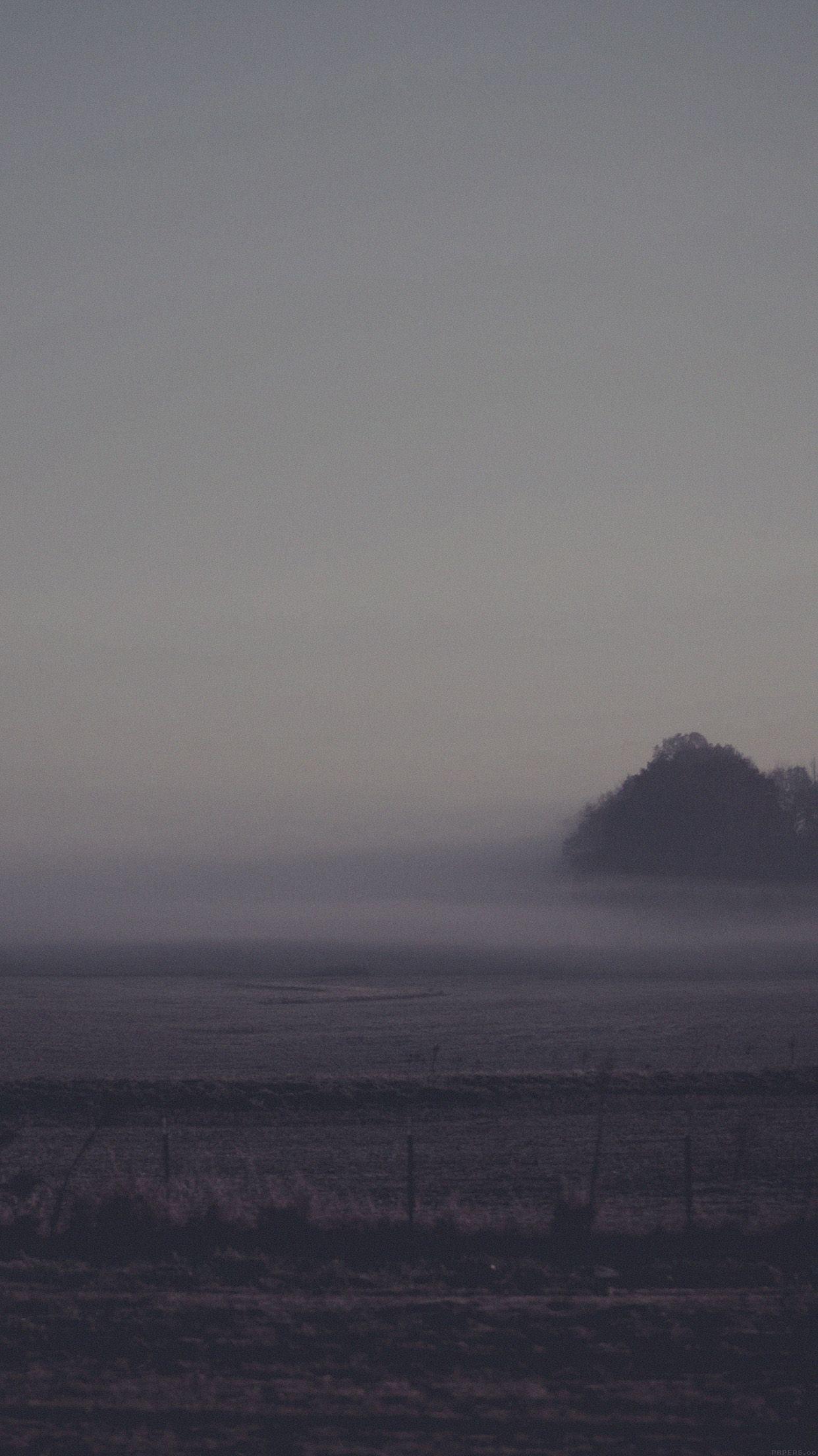 1242x2208 Foggy Land Dark Nature Sonja .