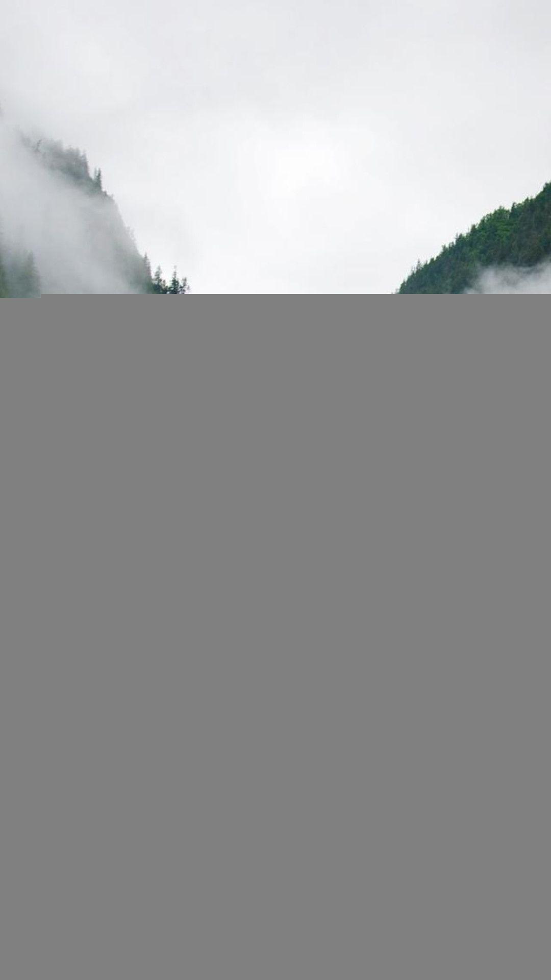 1080x1920 Nature Foggy Mountains Calm Lake Forest .wallpaper