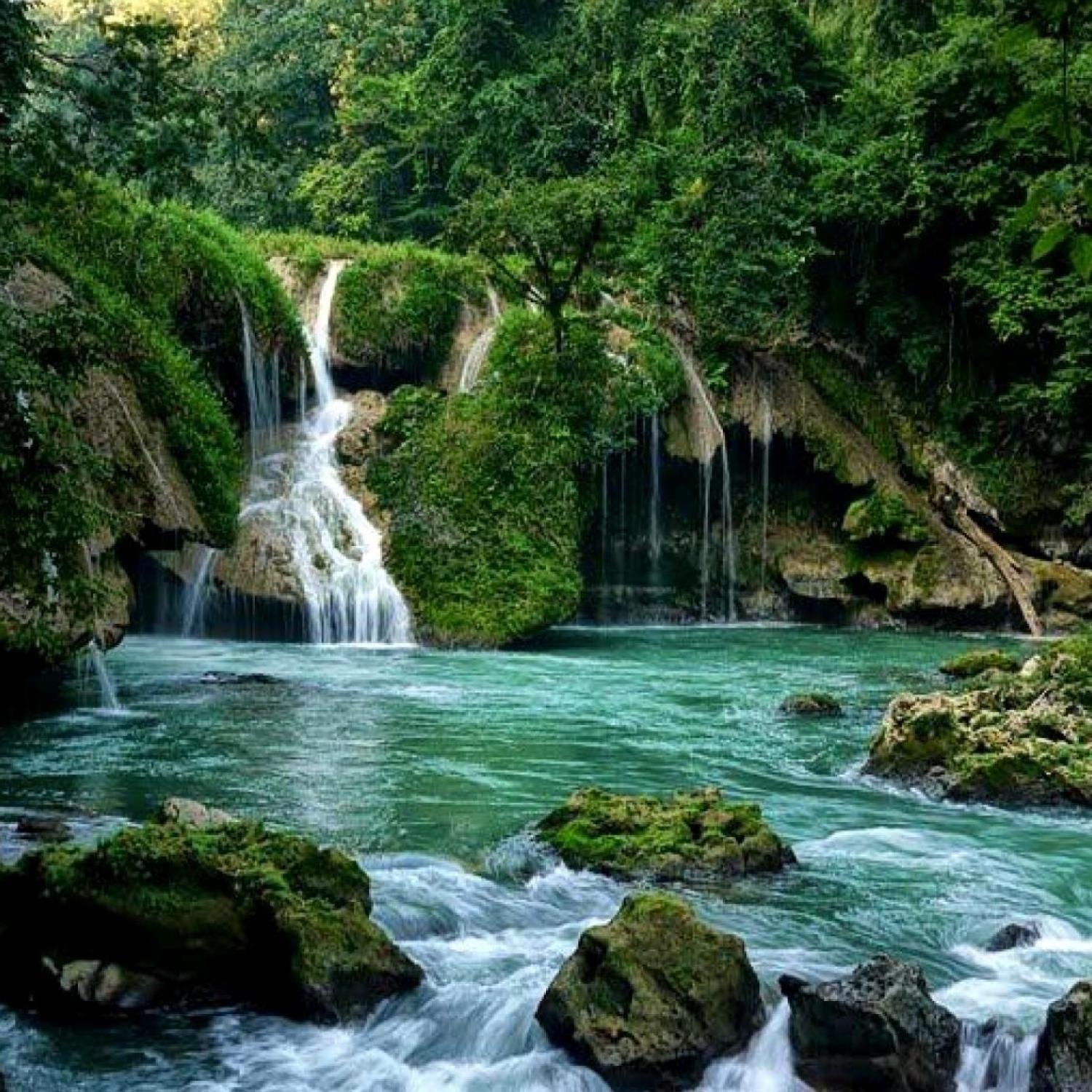 1500x1500 Forest Waterfall Wallpaper 4 X .com