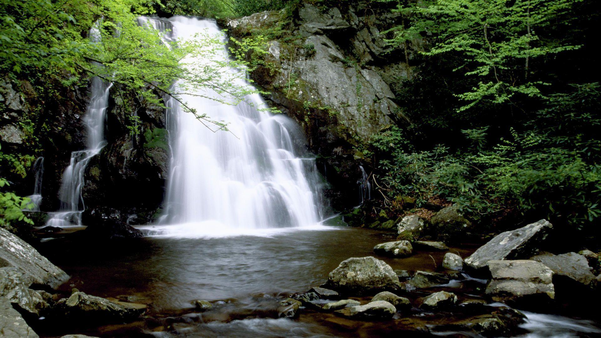 1920x1080 Forest Waterfall Wallpaper .