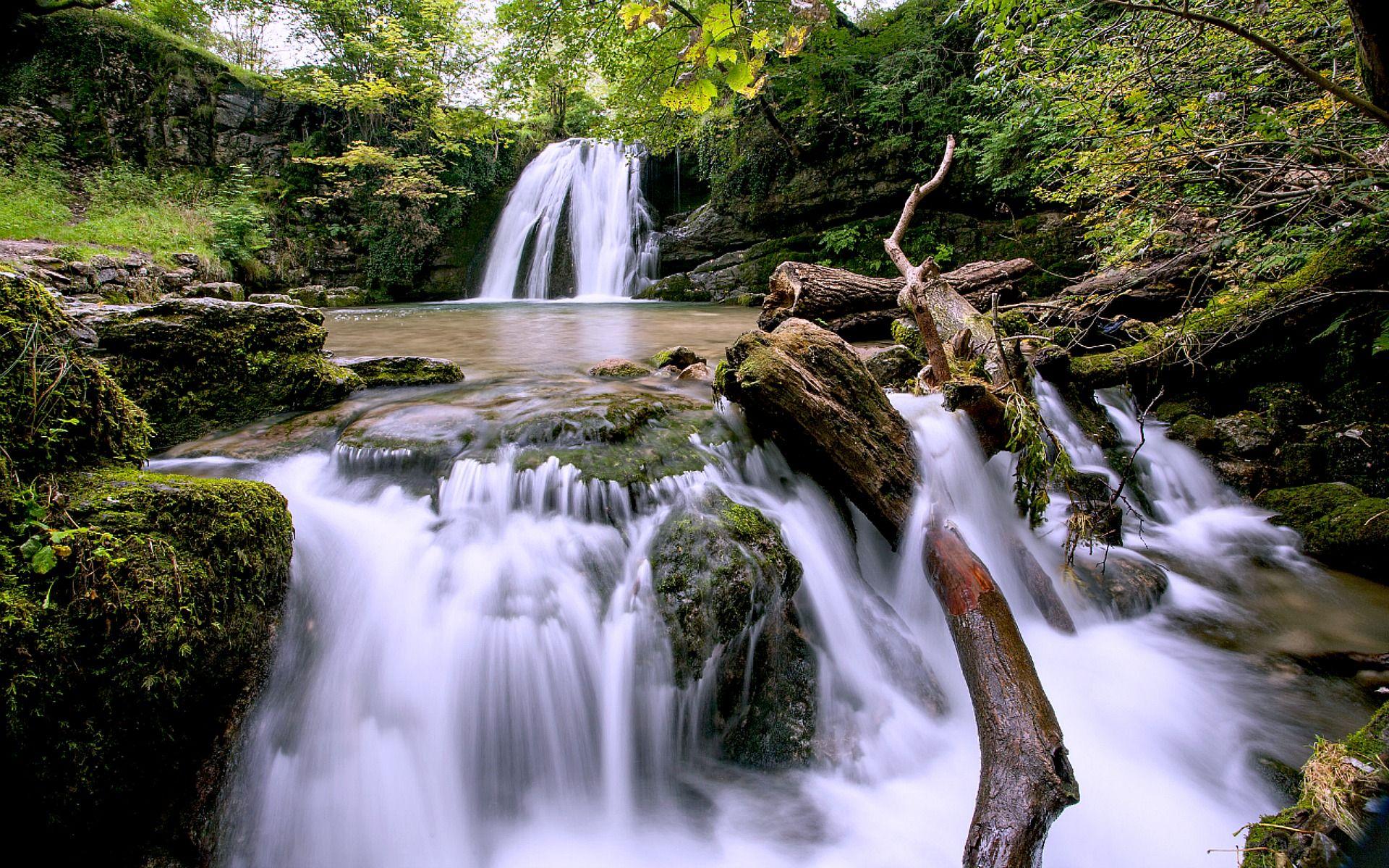 1920x1200 Forest Waterfall Wallpaper -