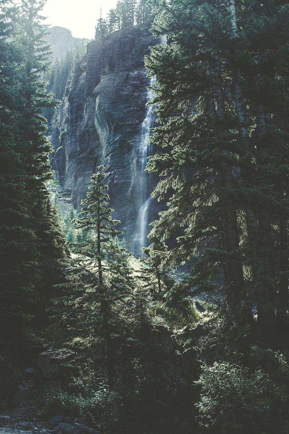 1000x1500 Waterfall In The Forest Picture .com