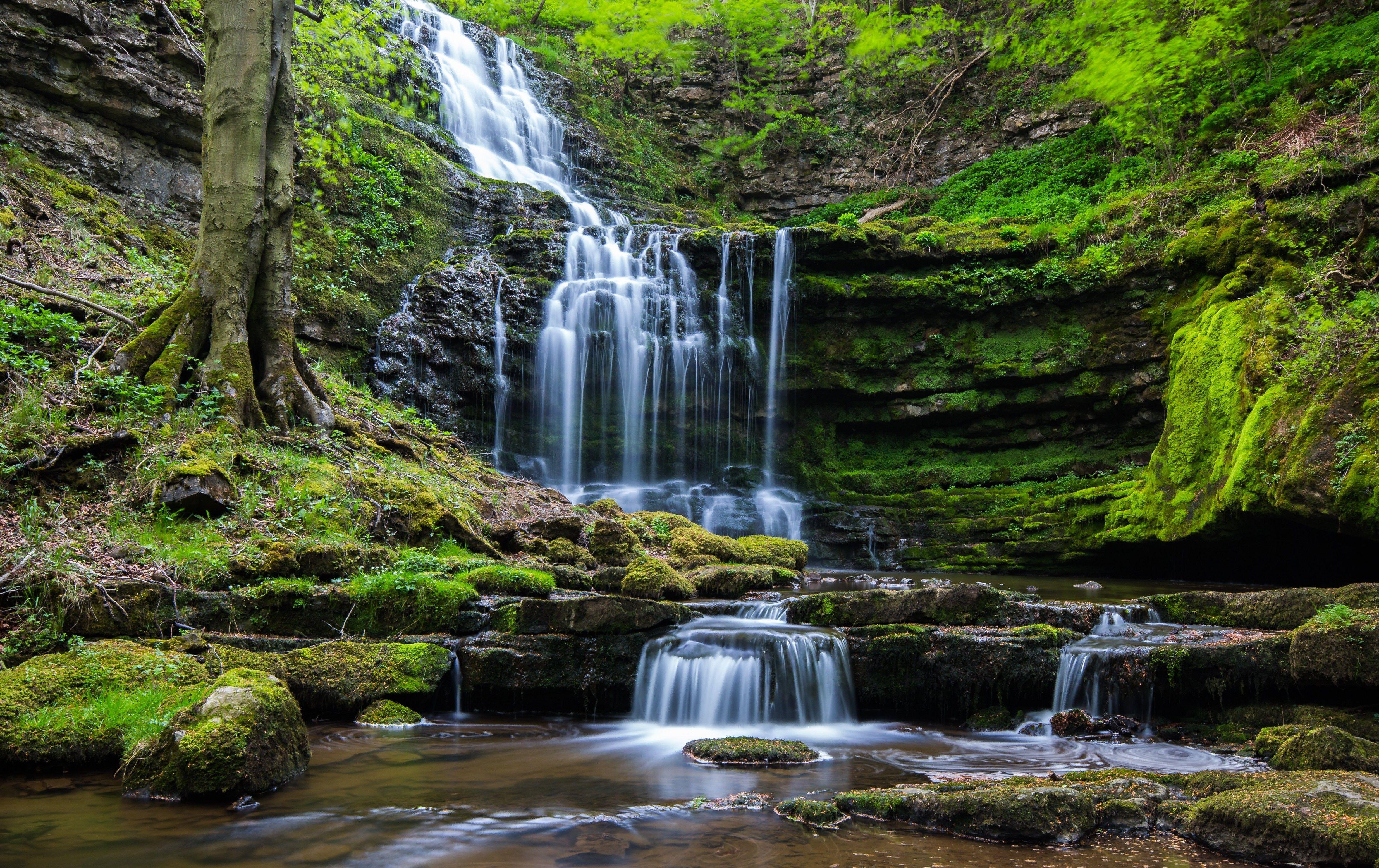 4939x3109 Forest Waterfall Wallpaper Free .naturezwallpaper.
