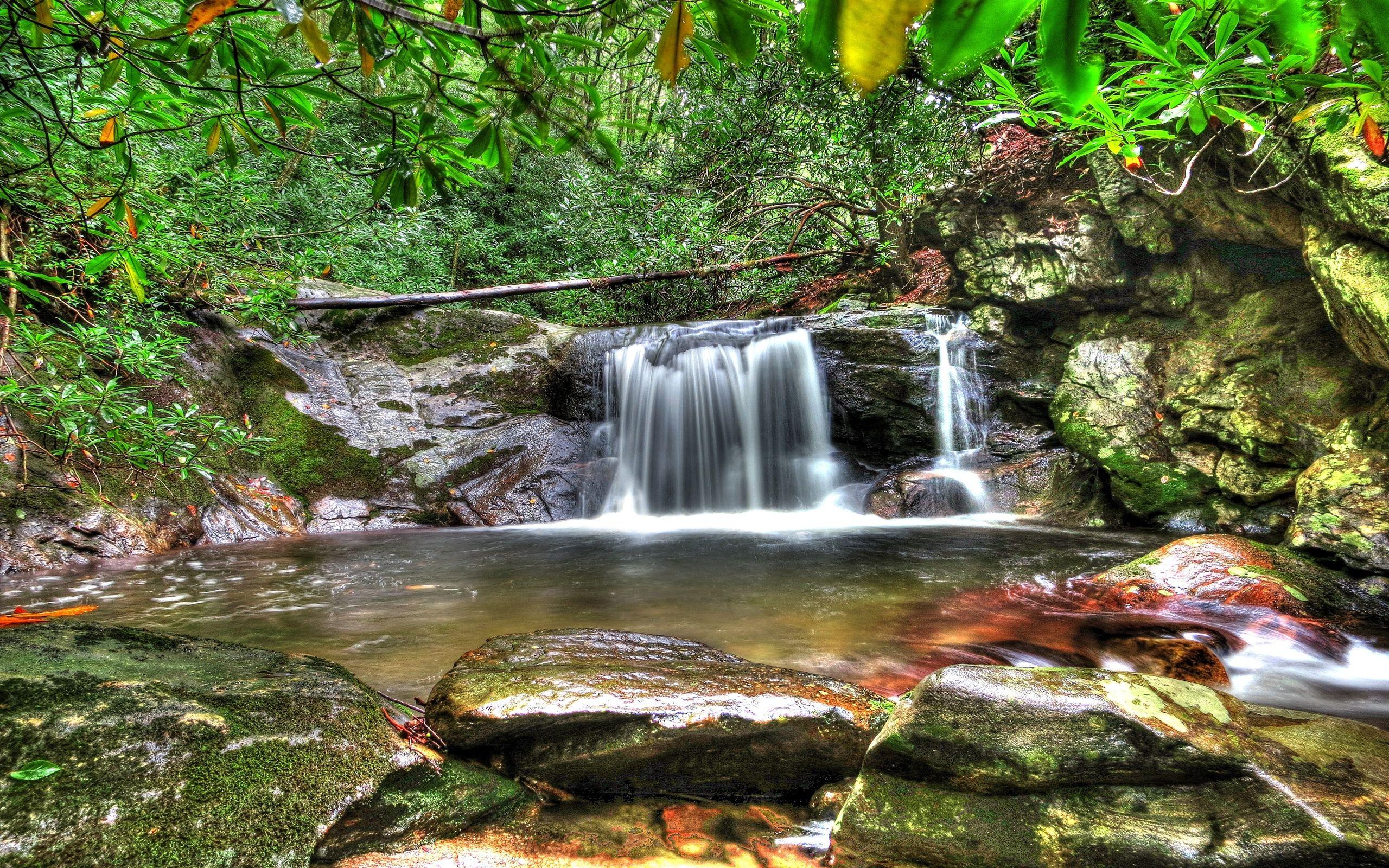 2560x1600 Forest Waterfall Desktop Background HD .
