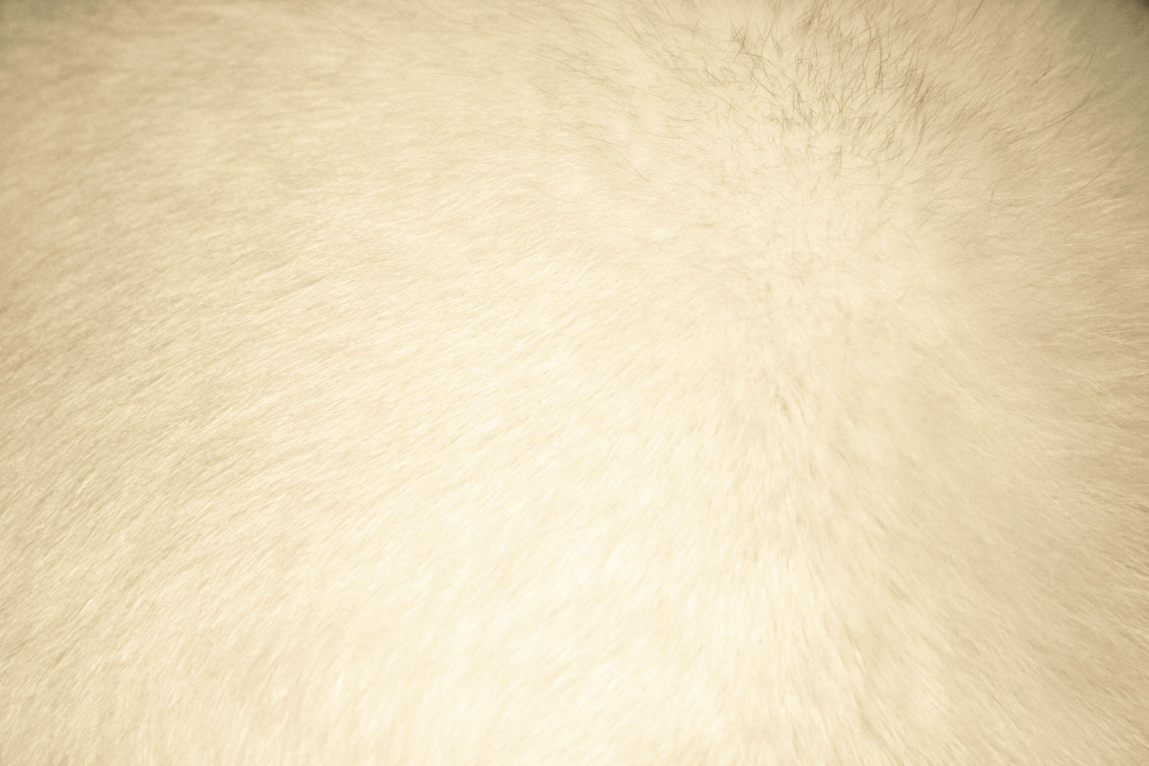 3888x2592 Cream Colored