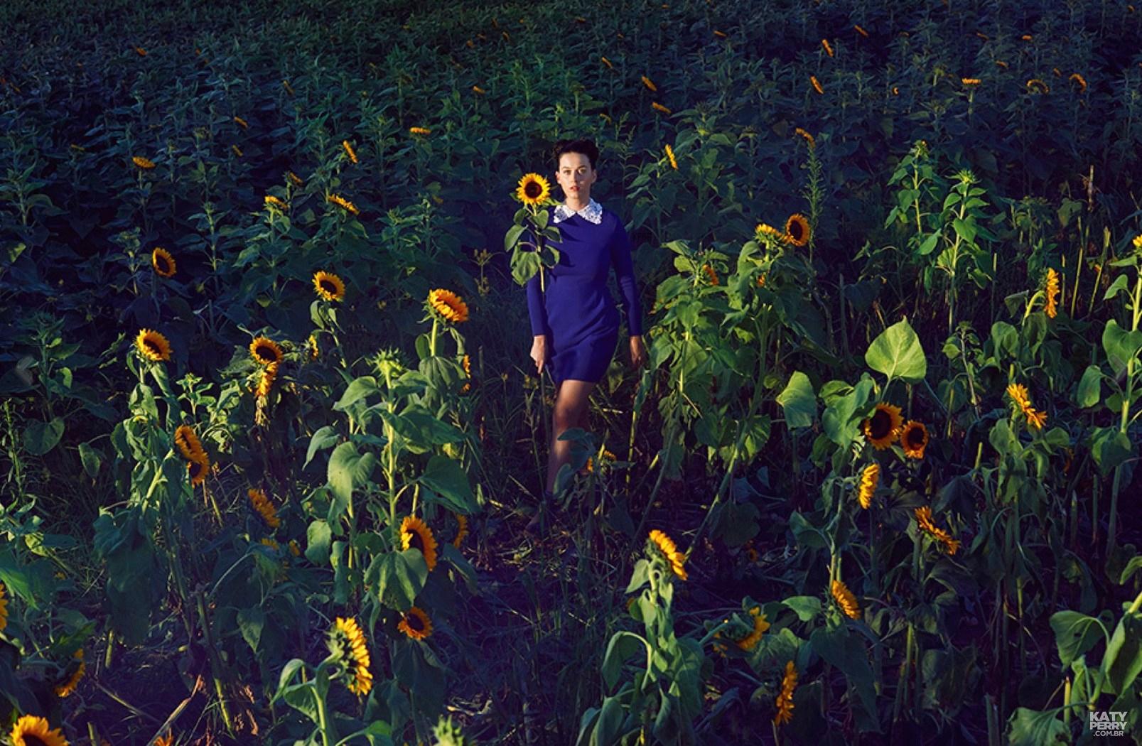 1607x1050 New Katy Perry Promo Pics For PRISM .