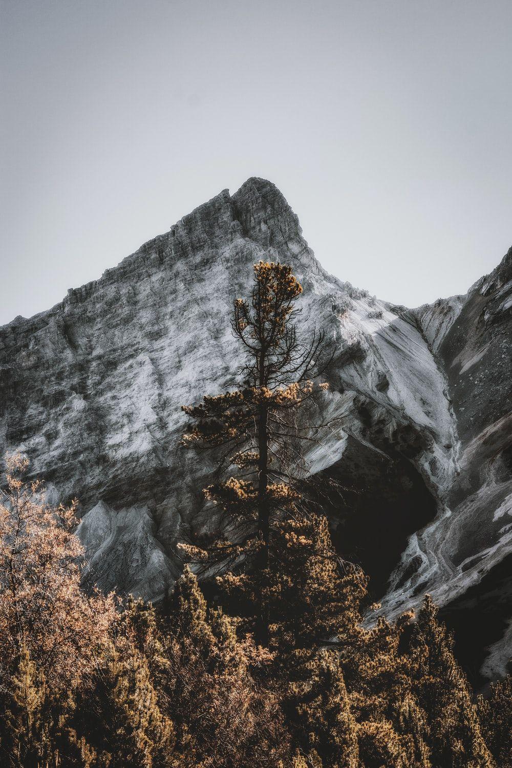 1000x1500 iPhone Wallpaper: Free HD Download .com