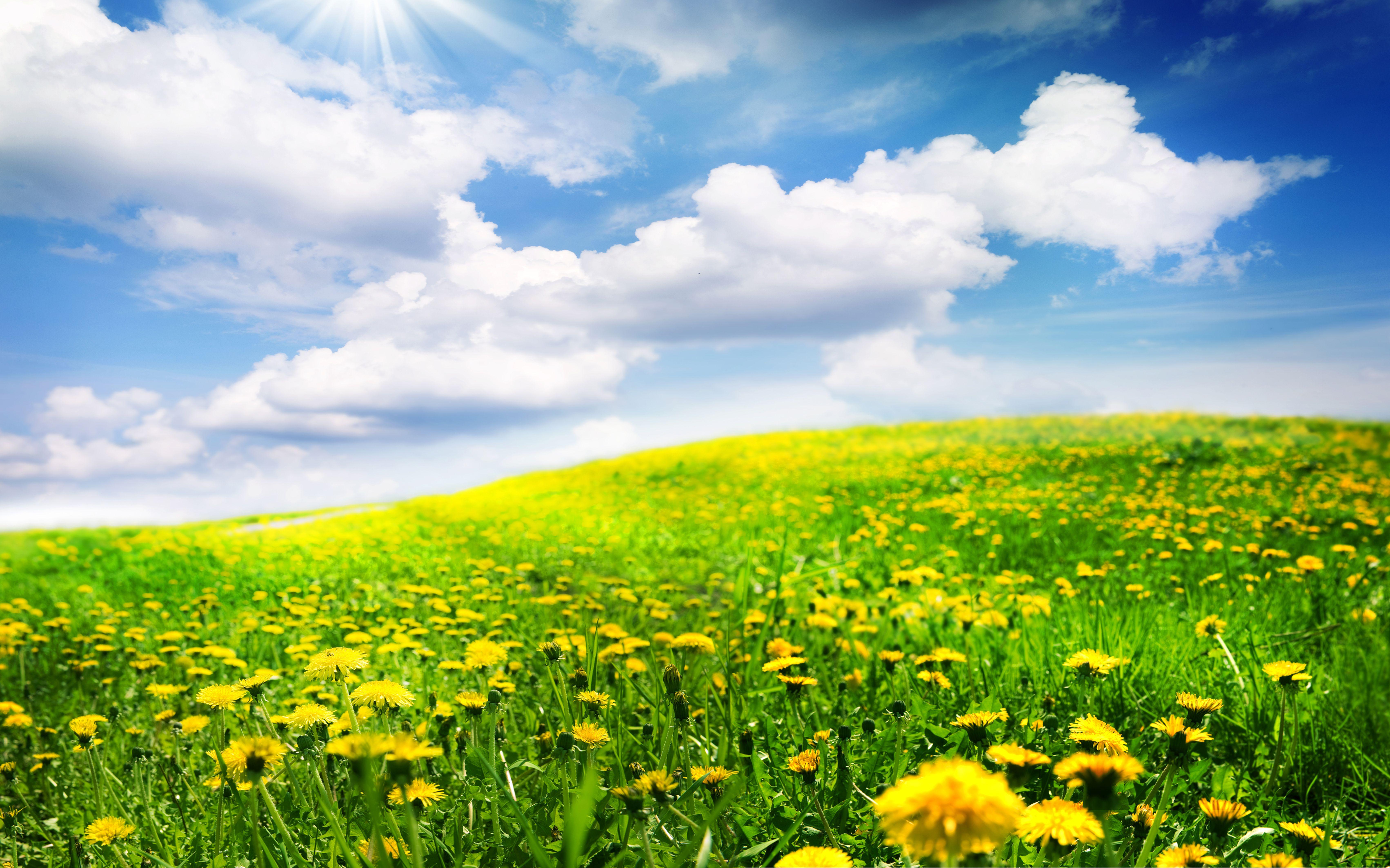 6810x4256 Beautiful Spring Landscape In Scotland .
