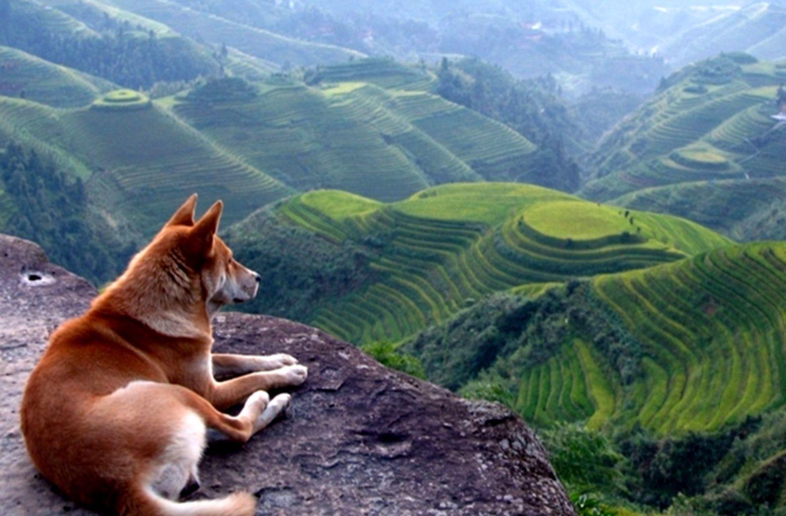1562x1026 Wallpaper Mountain Nature
