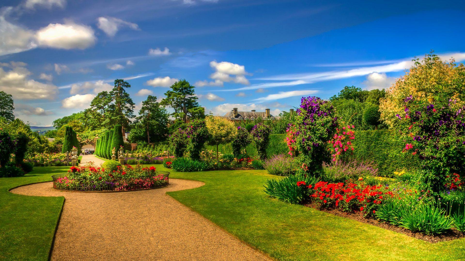 1920x1080 Full HD Beautiful Nature Spring .