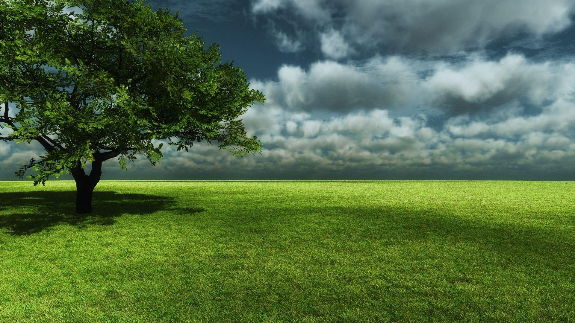 1920x1080 Beautiful Spring Scenery .
