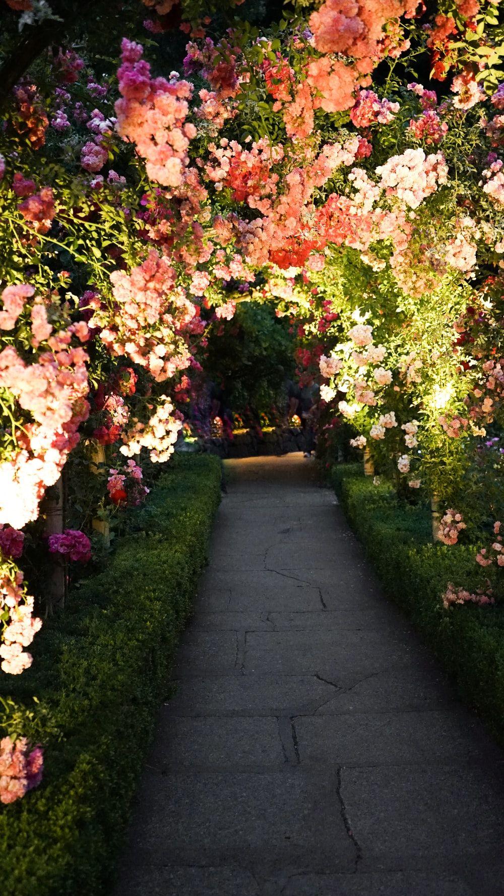 1000x1777 Garden Photo [HD]. Download .com