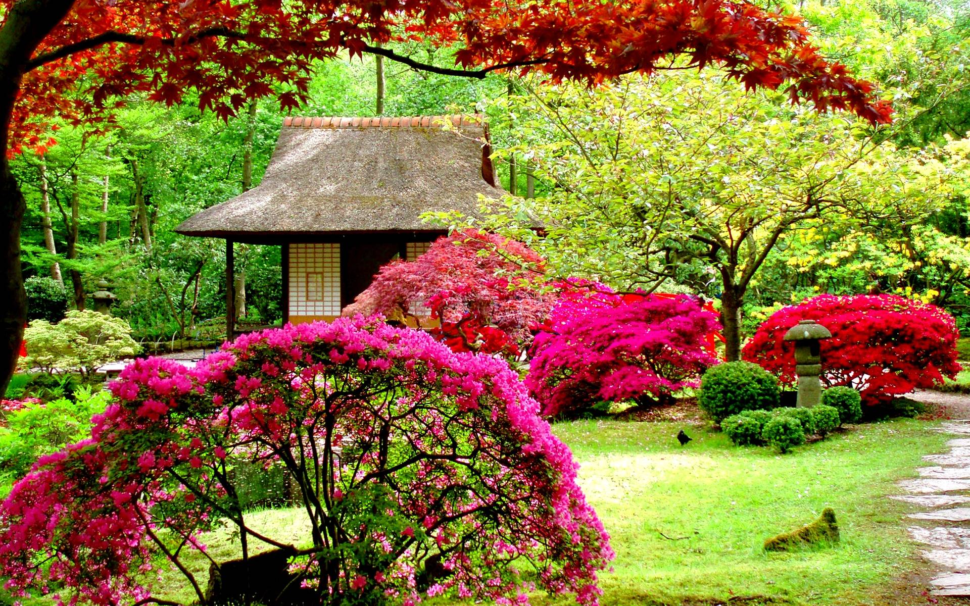 1920x1200 Wallpaper HD Flower Garden .