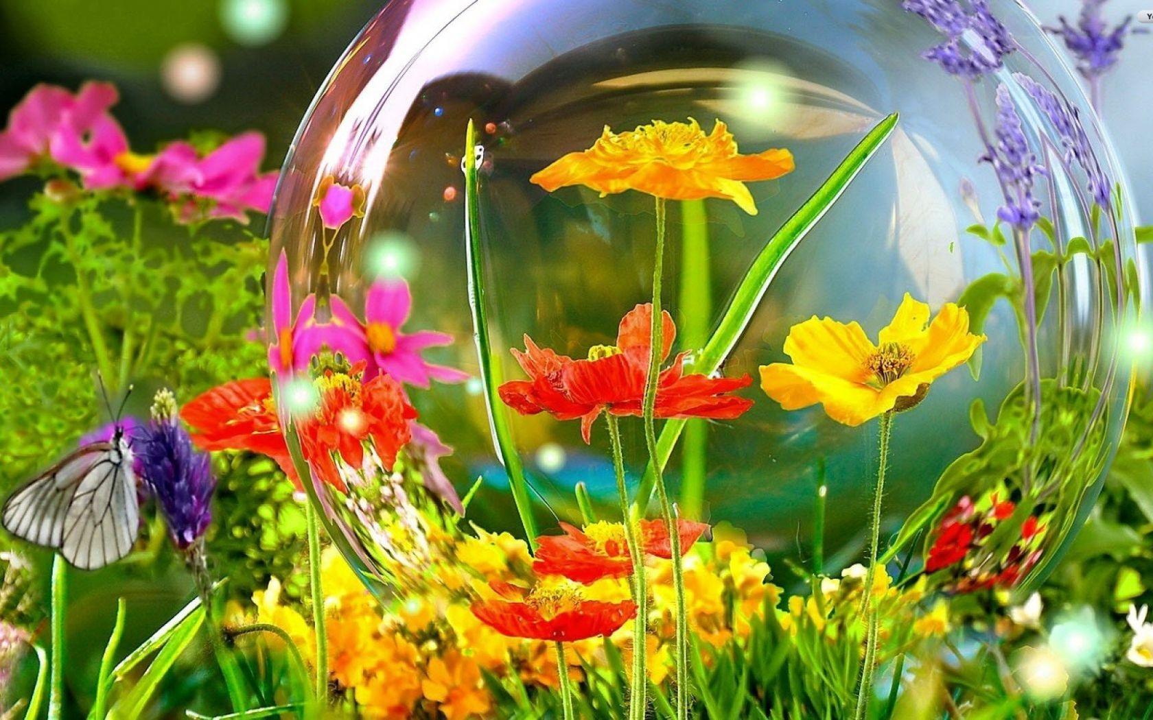1680x1050 Free download Colored Garden Flowers Wallpaper wallpaperwallpaperfree wallpaper [1920x1080] for your Desktop, Mobile & Tablet. Explore Garden Wallpaper for Desktop. Free Flower Garden Desktop Wallpaper, Flower Garden Wallpaper for