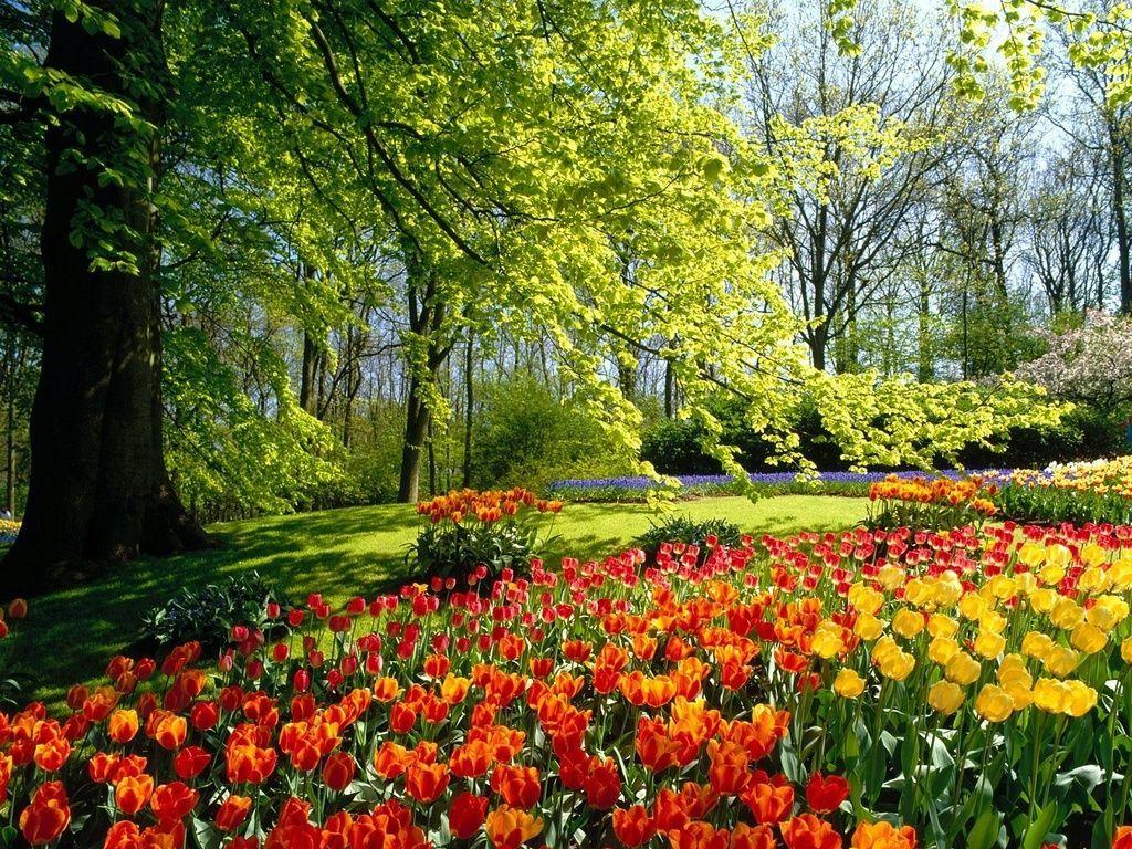 1024x768 nature desktop wallpaper .com