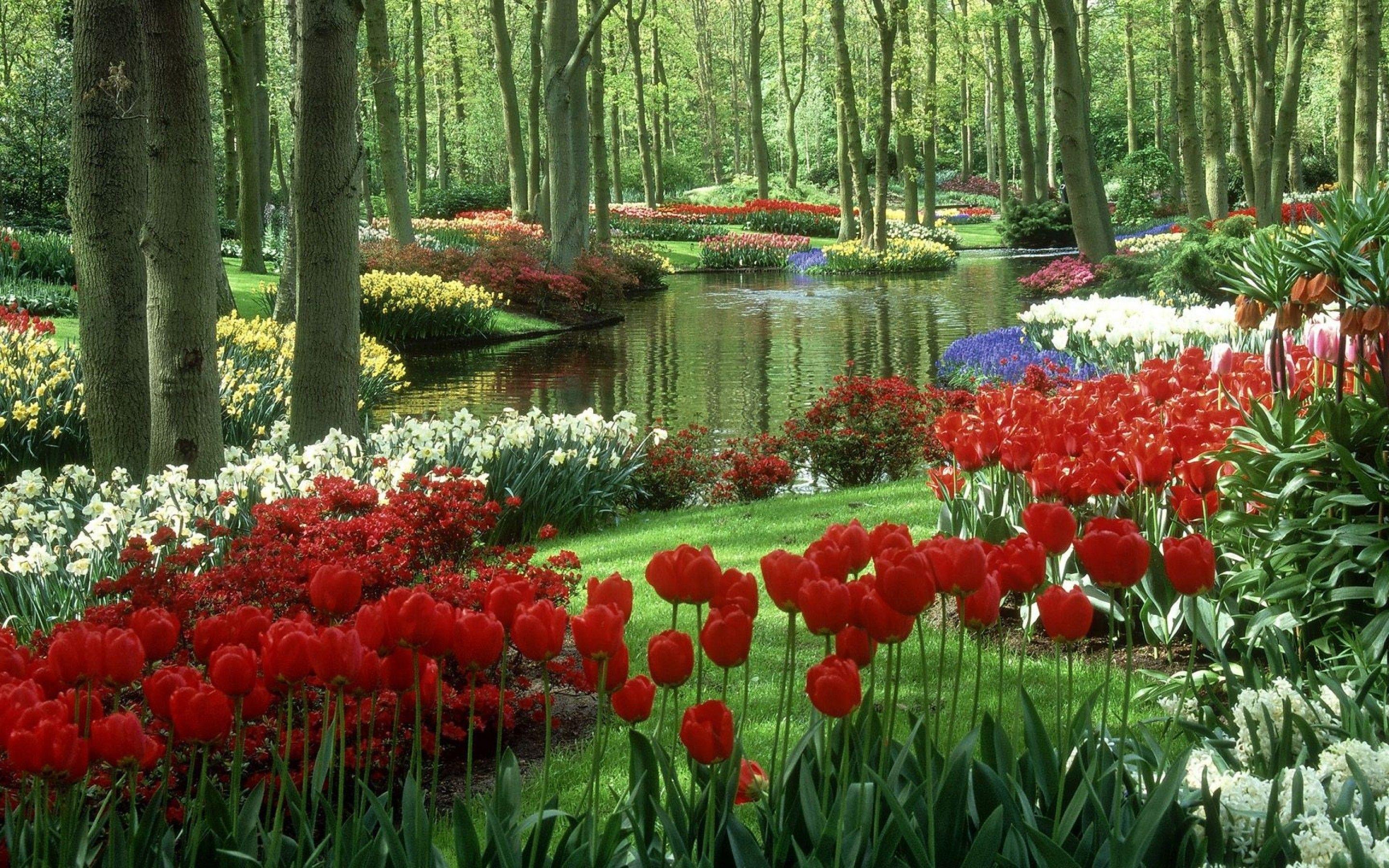 2880x1800 Garden Flower Wallpaper Image Photo .