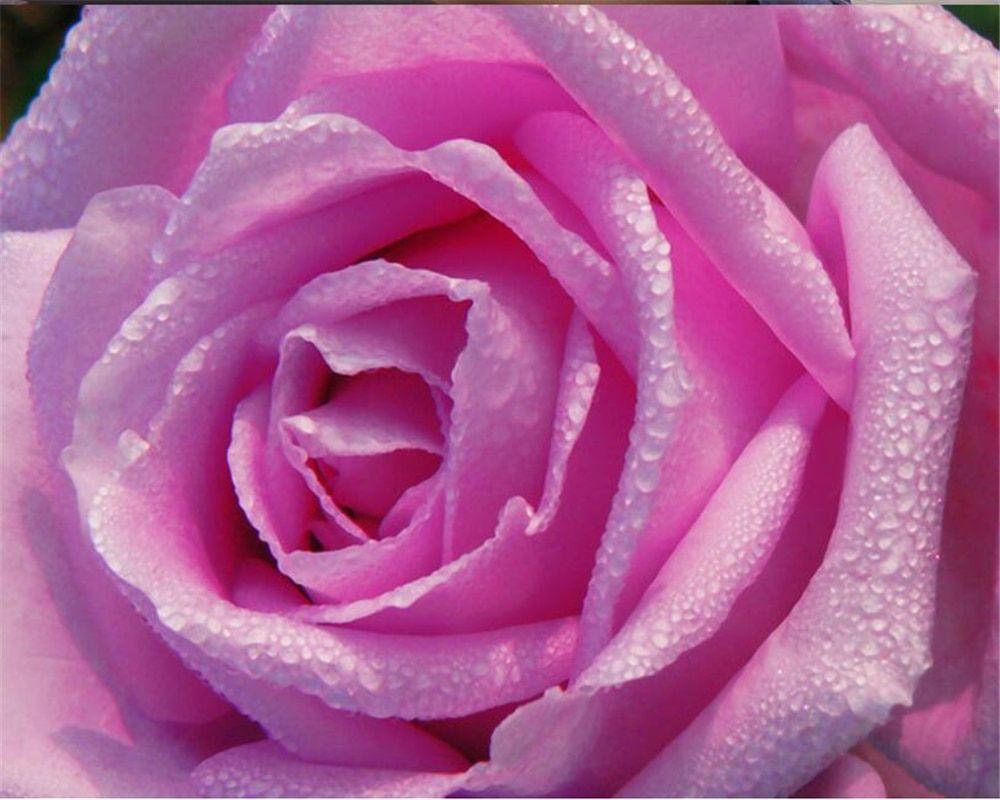 1000x800 wall paperpink rose flower wallpaper .aliexpress.com · In stock