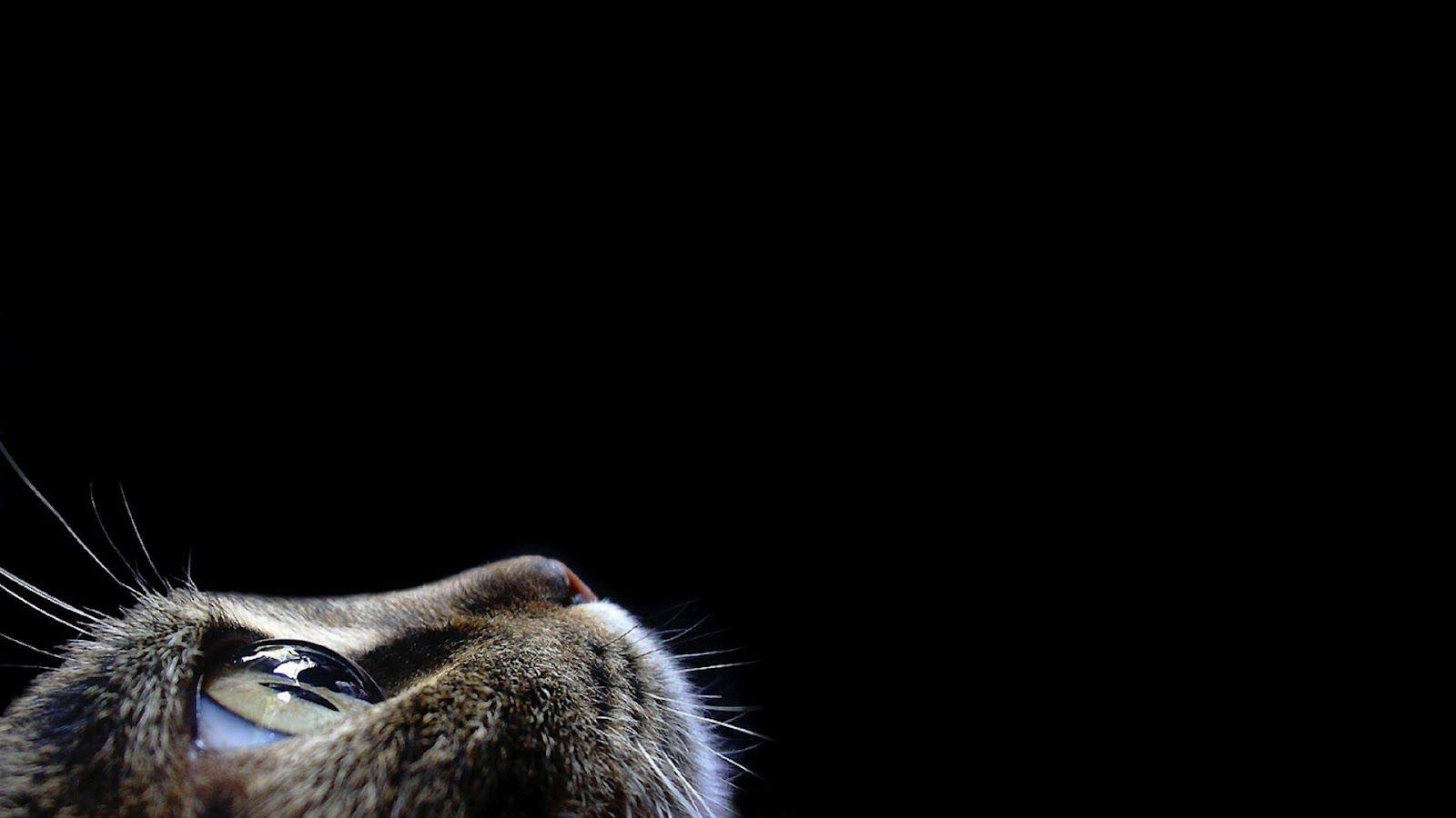1600x900 Modern Black Wallpaper For Desktop