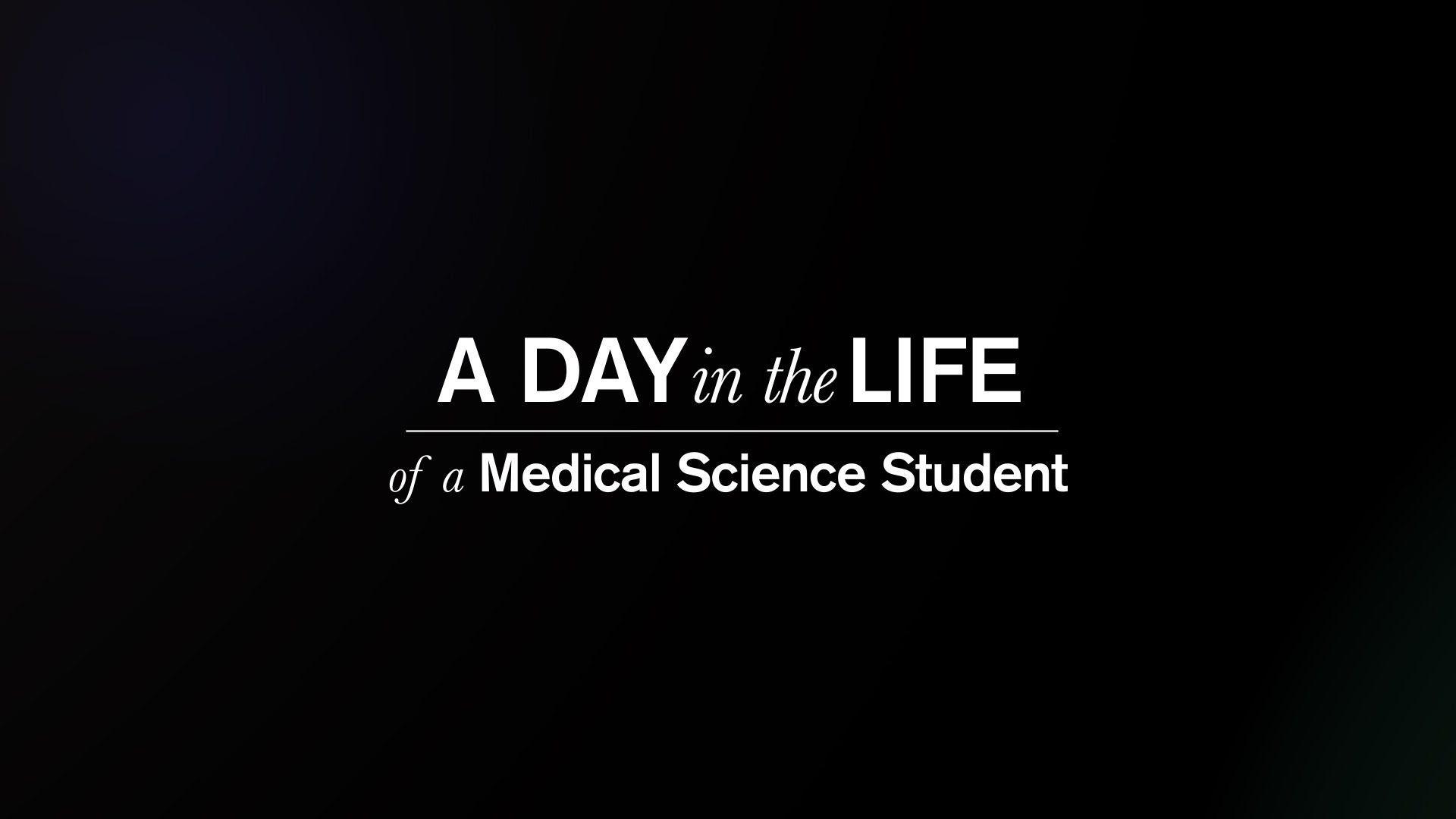 1920x1080 Student Life Wallpaper