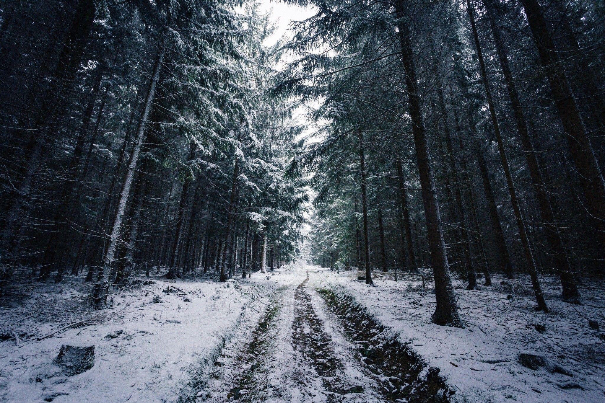 2048x1365 #road, #winter, #snow, #Norway .