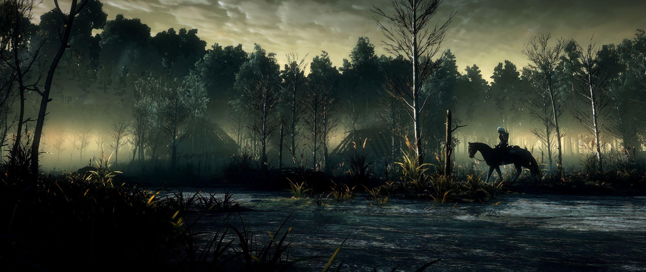 2560x1080 The Witcher 3 Wild Hunt 8k .