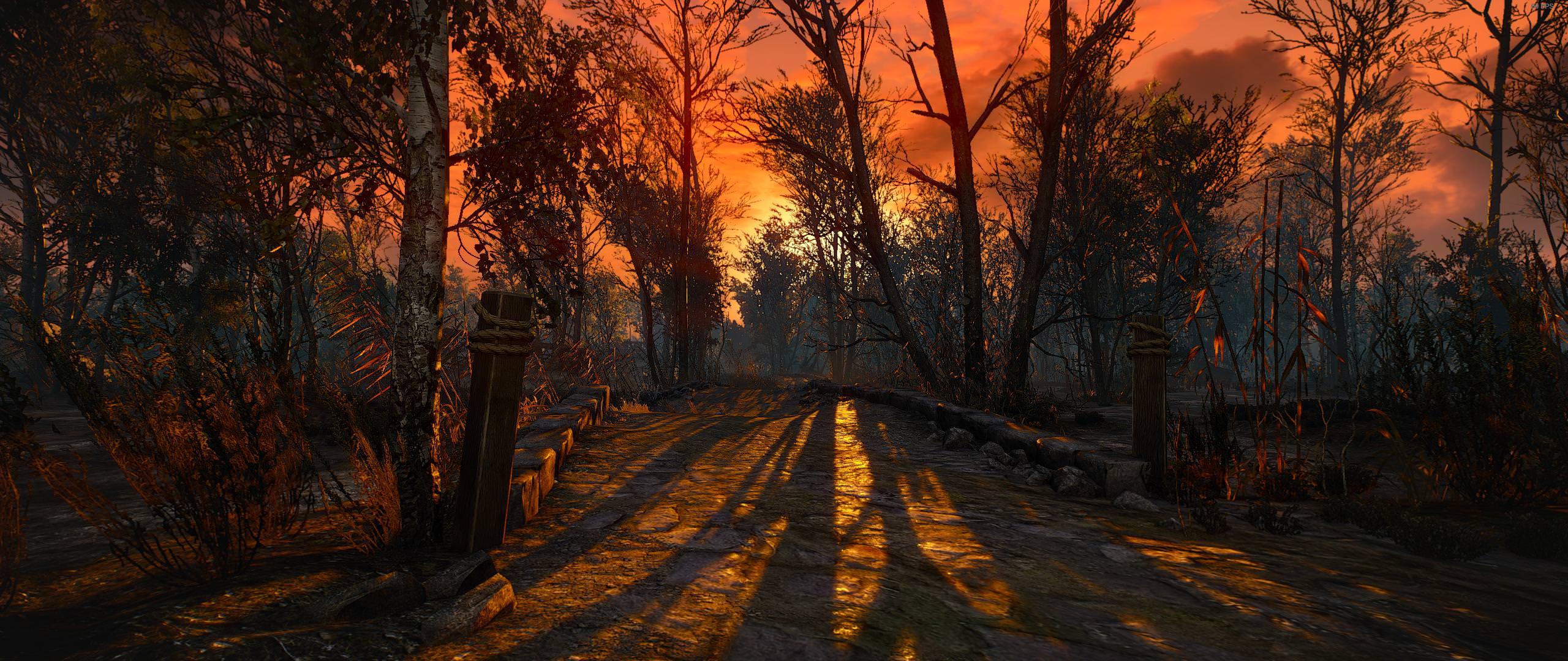 2560x1080 Witcher 3 ultrawide wallpaper .
