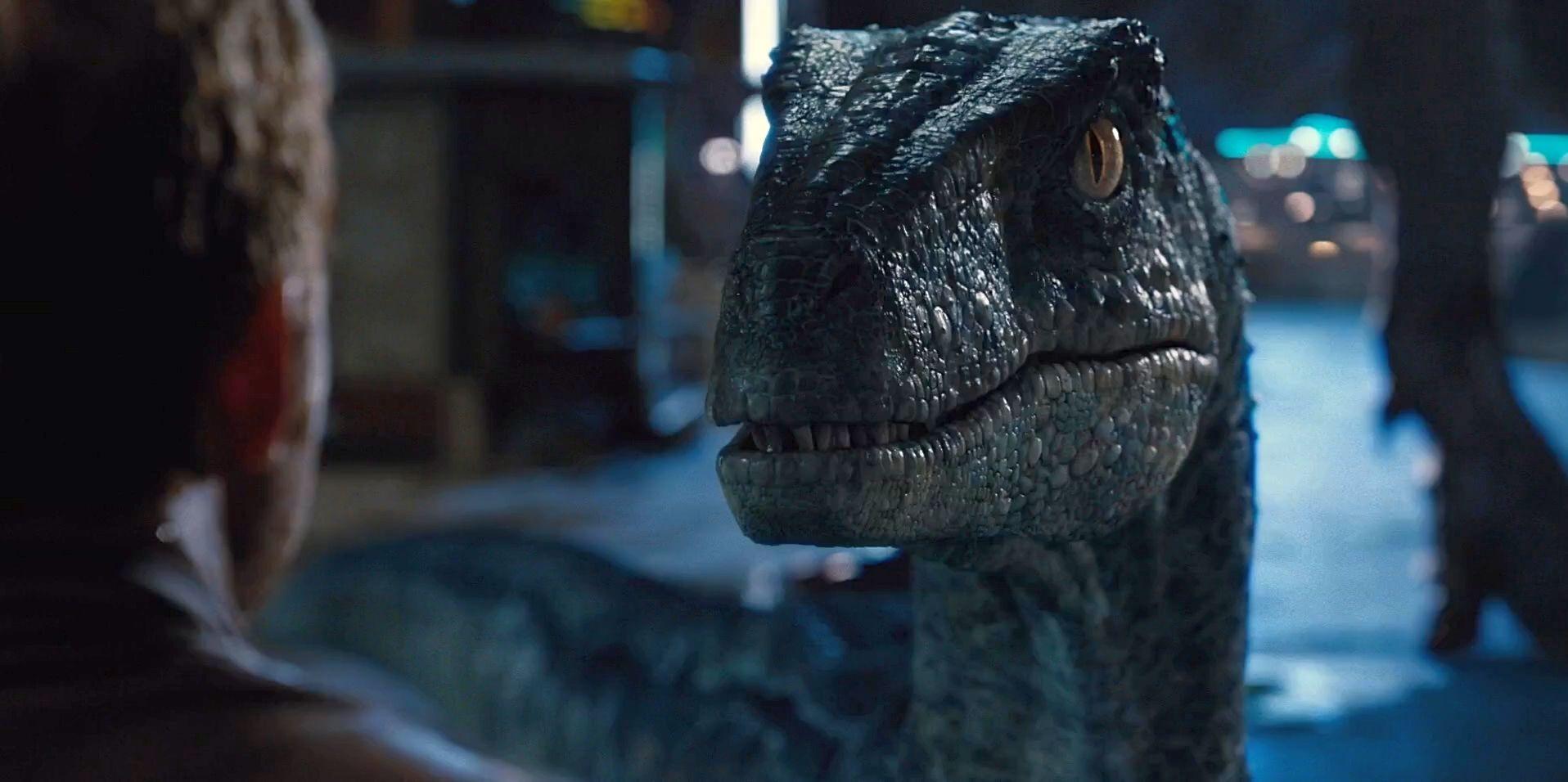 1916x956 Free download Jurassic World Blue by Jd1680a [1916x956] for your Desktop, Mobile & Tablet. Explore Jurassic World Velociraptor Wallpaper. Jurassic World Velociraptor Wallpaper, Jurassic World Wallpaper, Jurassic World Desktop Wallpaper