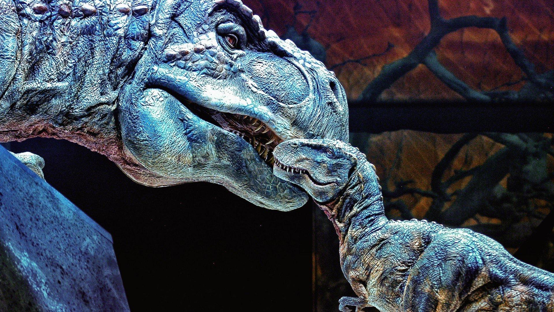 1920x1080 Dinosaur wallpaper 1920x1080 Full HD .