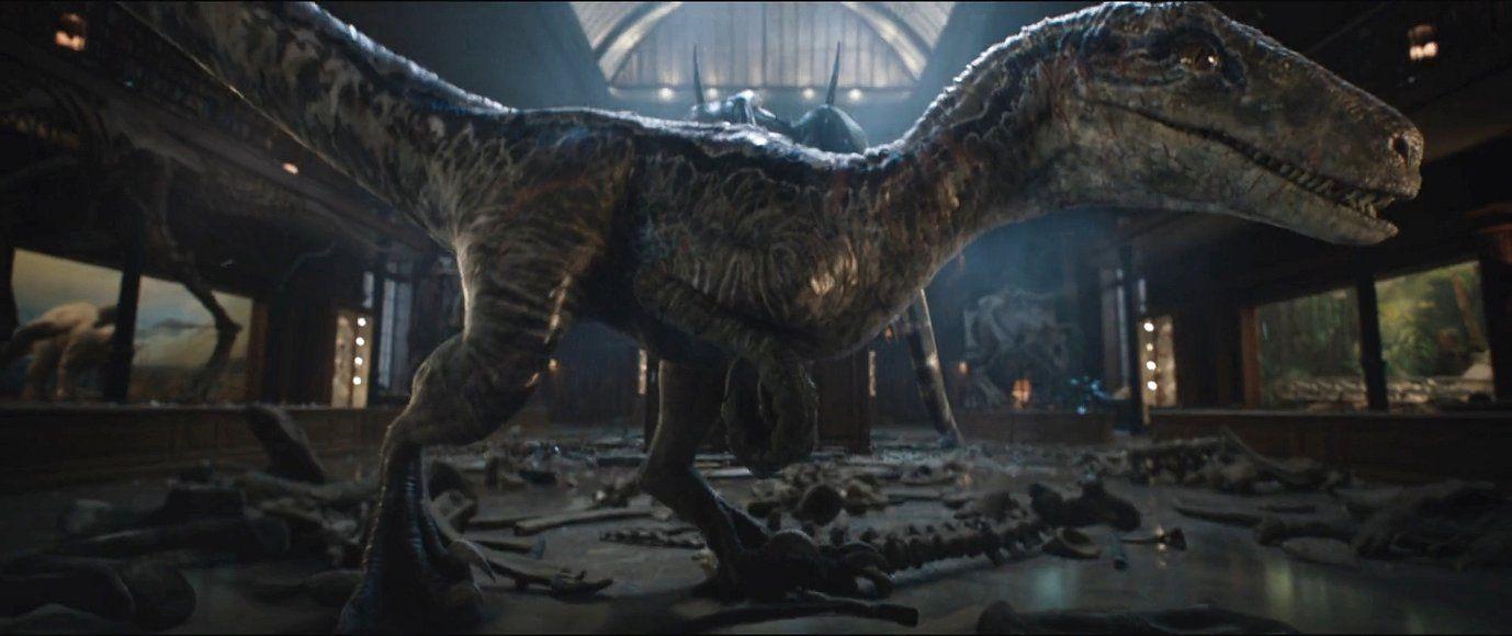 1378x580 Blue. Jurassic Park wikijurassicpark.