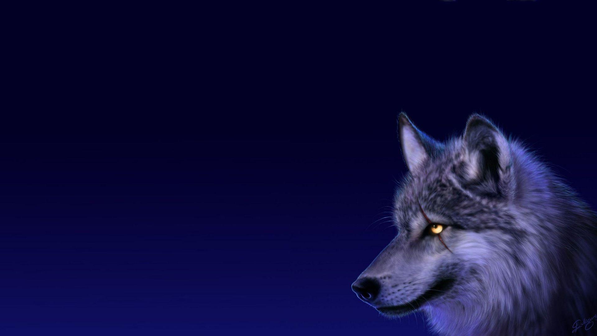 Hình nền 1920x1080 Anime Wolf Wallpaper 1920x1080