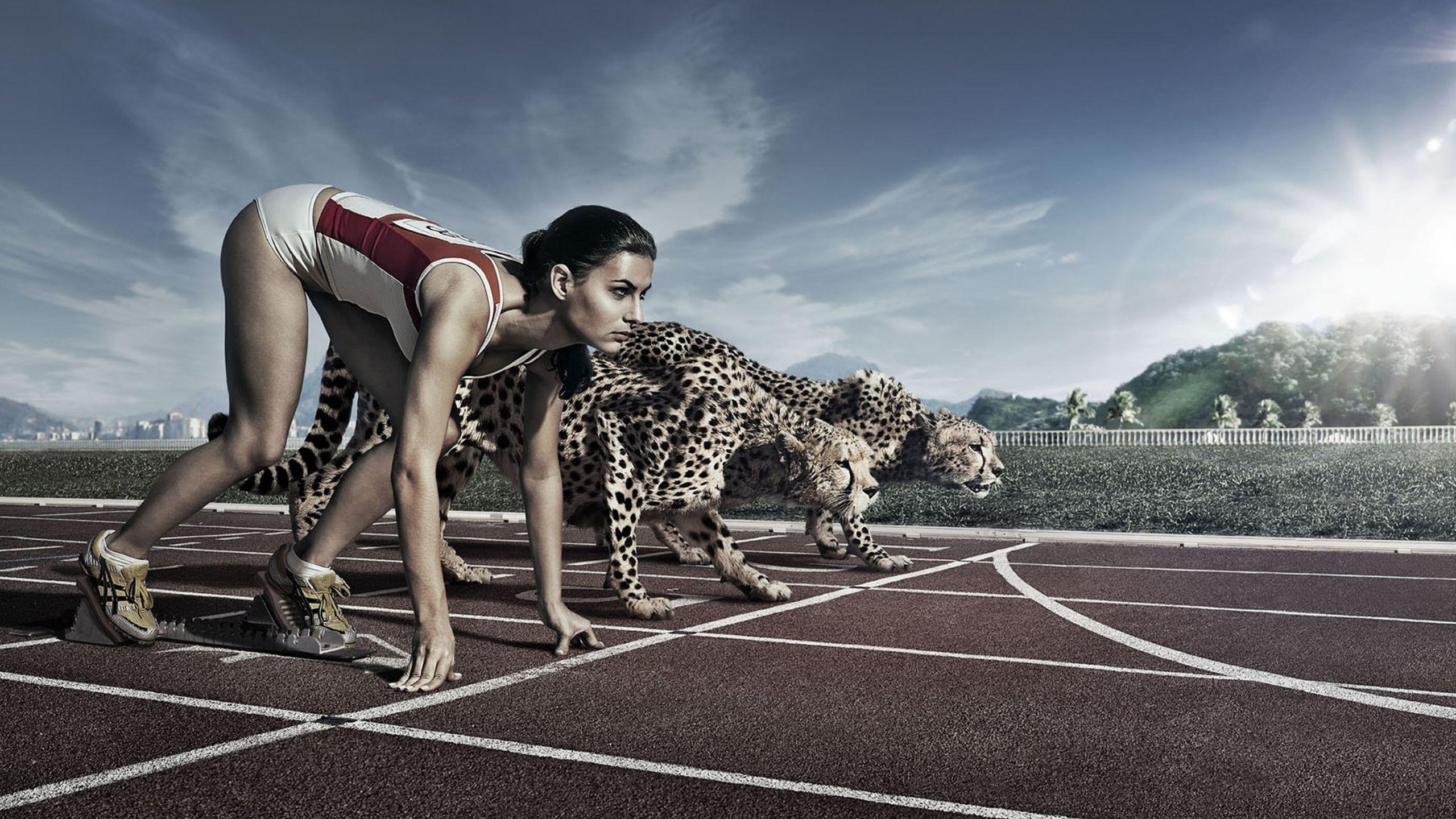 2560x1440 Run With Cheeta Wallpaper Sports. HD .free Download