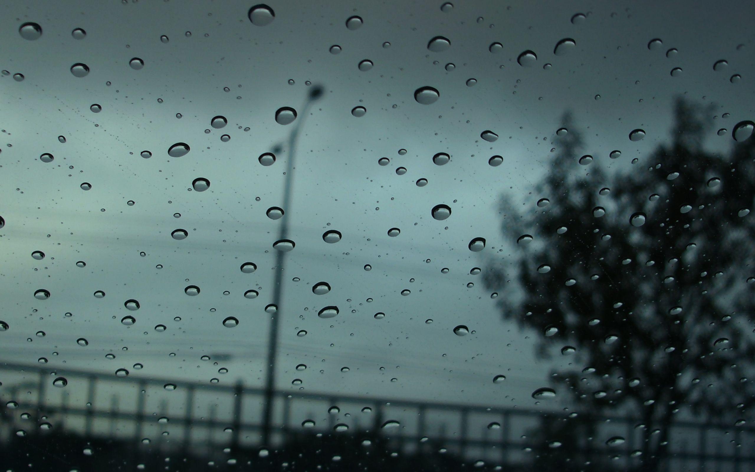 2560x1600 Free download Autumn Rain wallpaper .