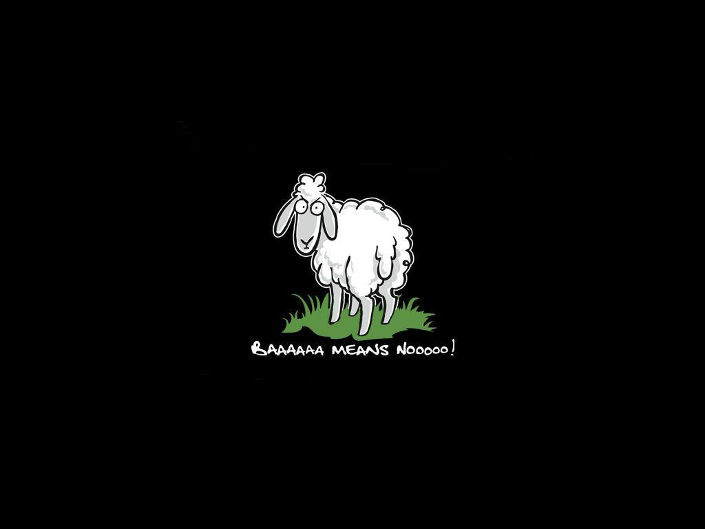 1024x768 Humor Desktop Background on .