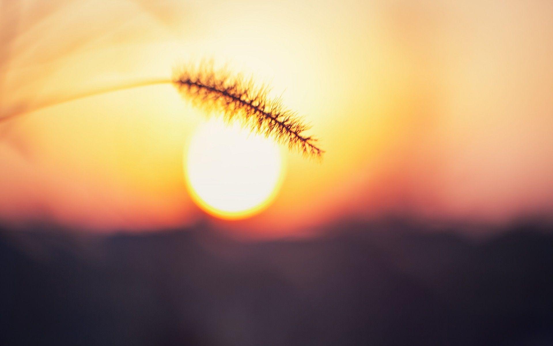1920x1200 Download Nature Sun Wallpaper 1920x1200 .