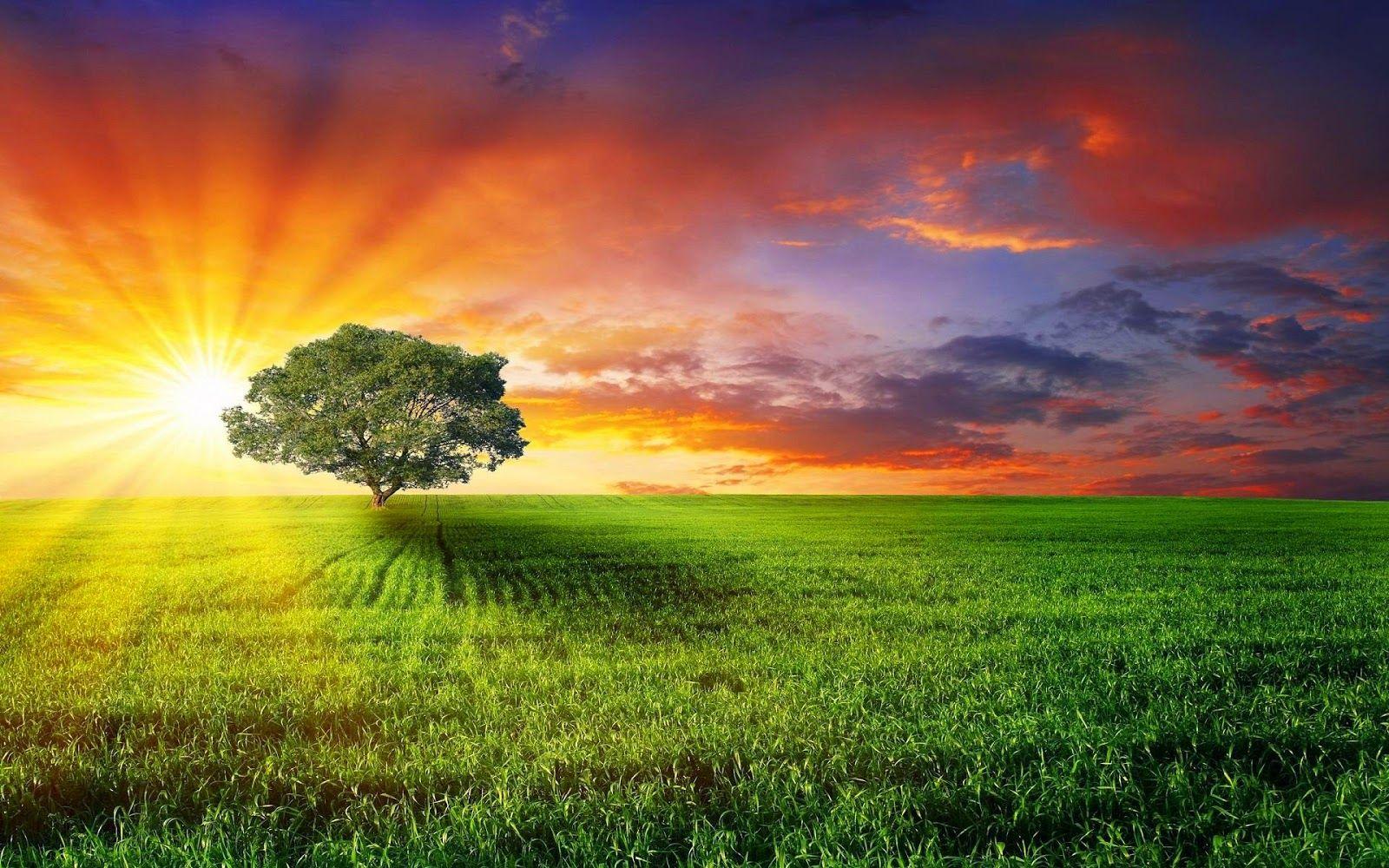 1600x1000 23++ Nature Wallpaper Sun Wallpaperbastywallpaper.
