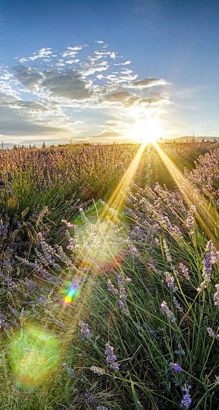 744x1392 Sunlight Wallpaper