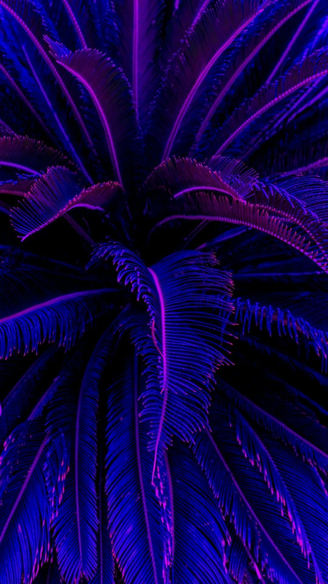 1080x1920 Neon Aesthetic Wallpaper Purple .