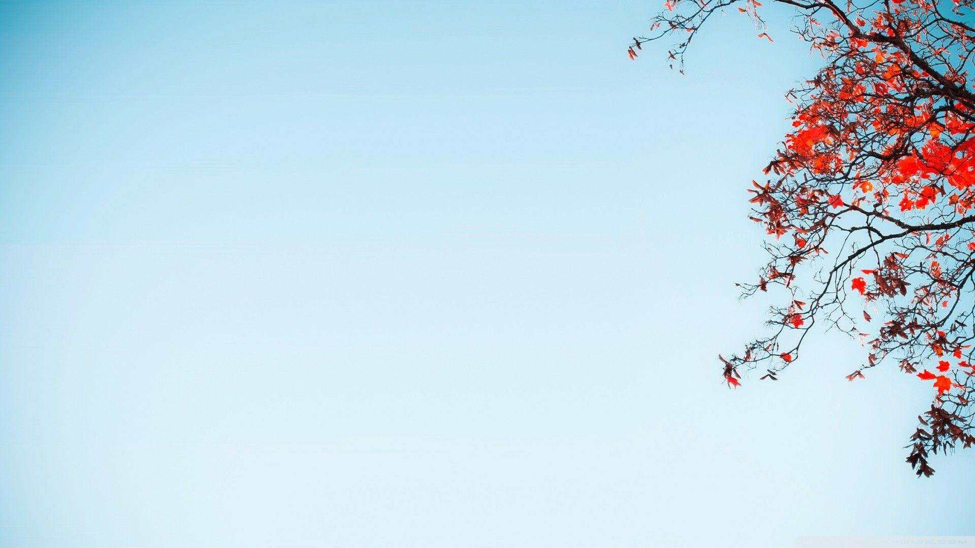 1920x1080 Light Blue Aesthetic Computer Wallpaperart Deco Wallpaper.
