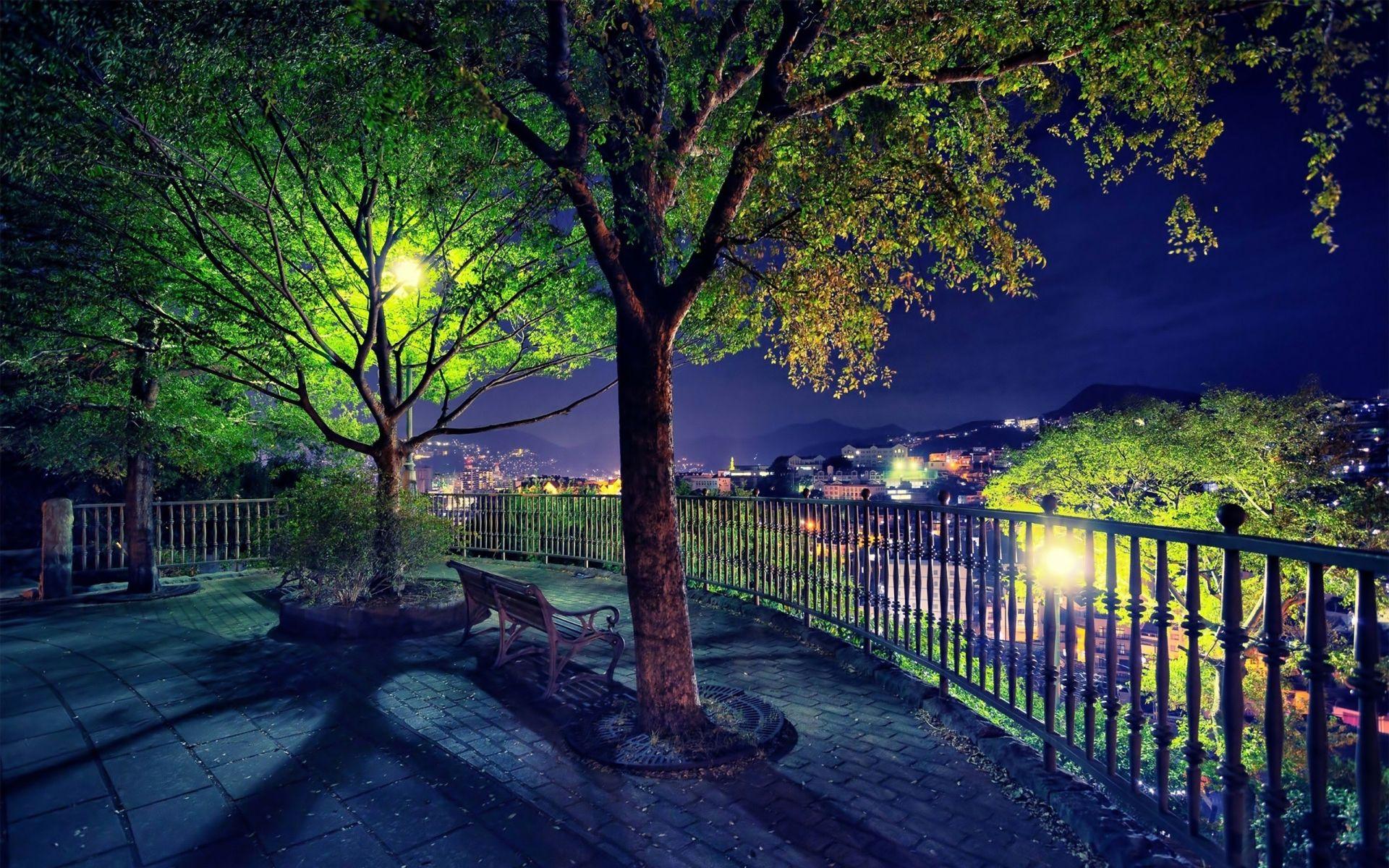 1920x1200 park, Garden, Bench, Trees, Night .