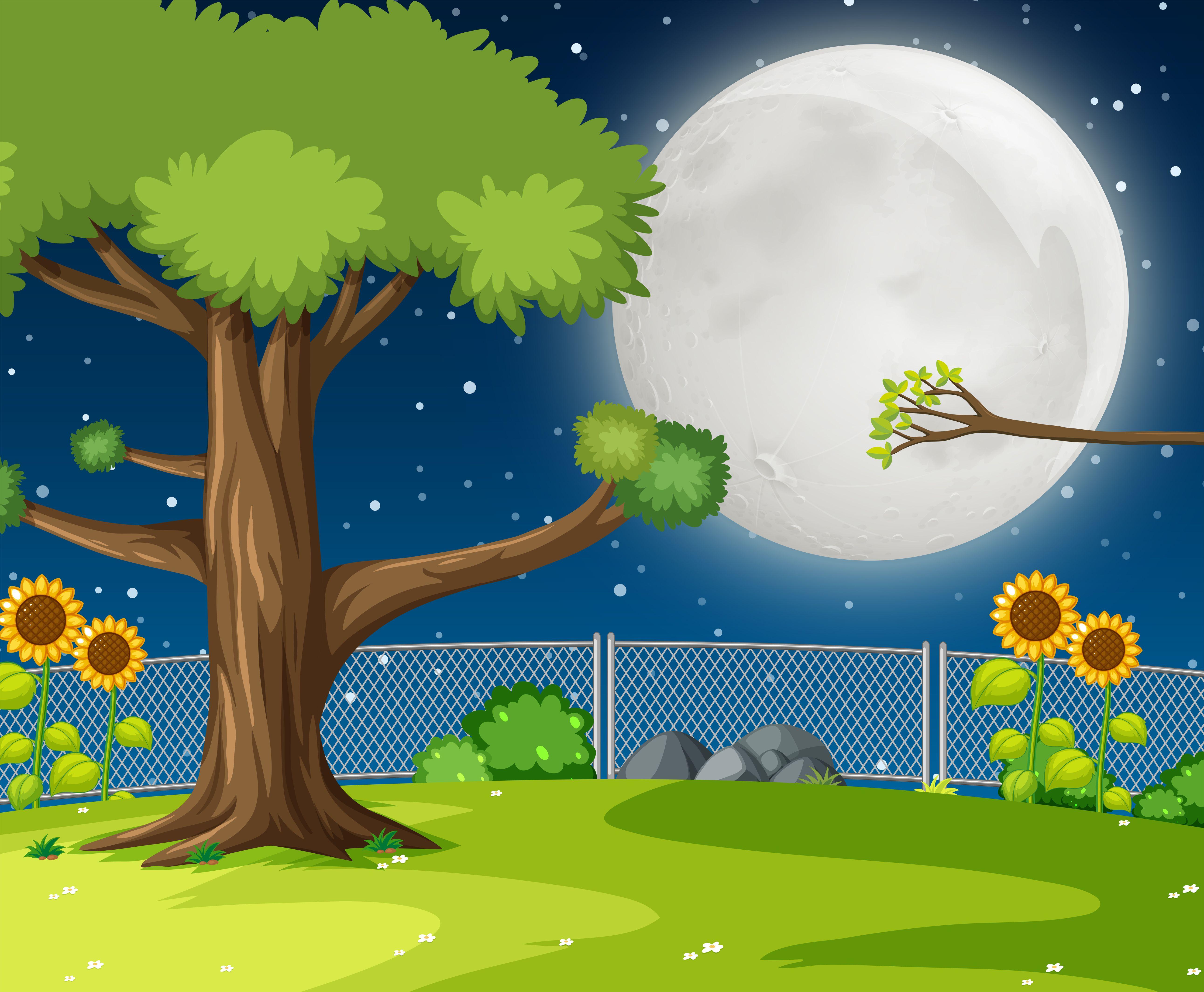 5166x4258 A night garden background .