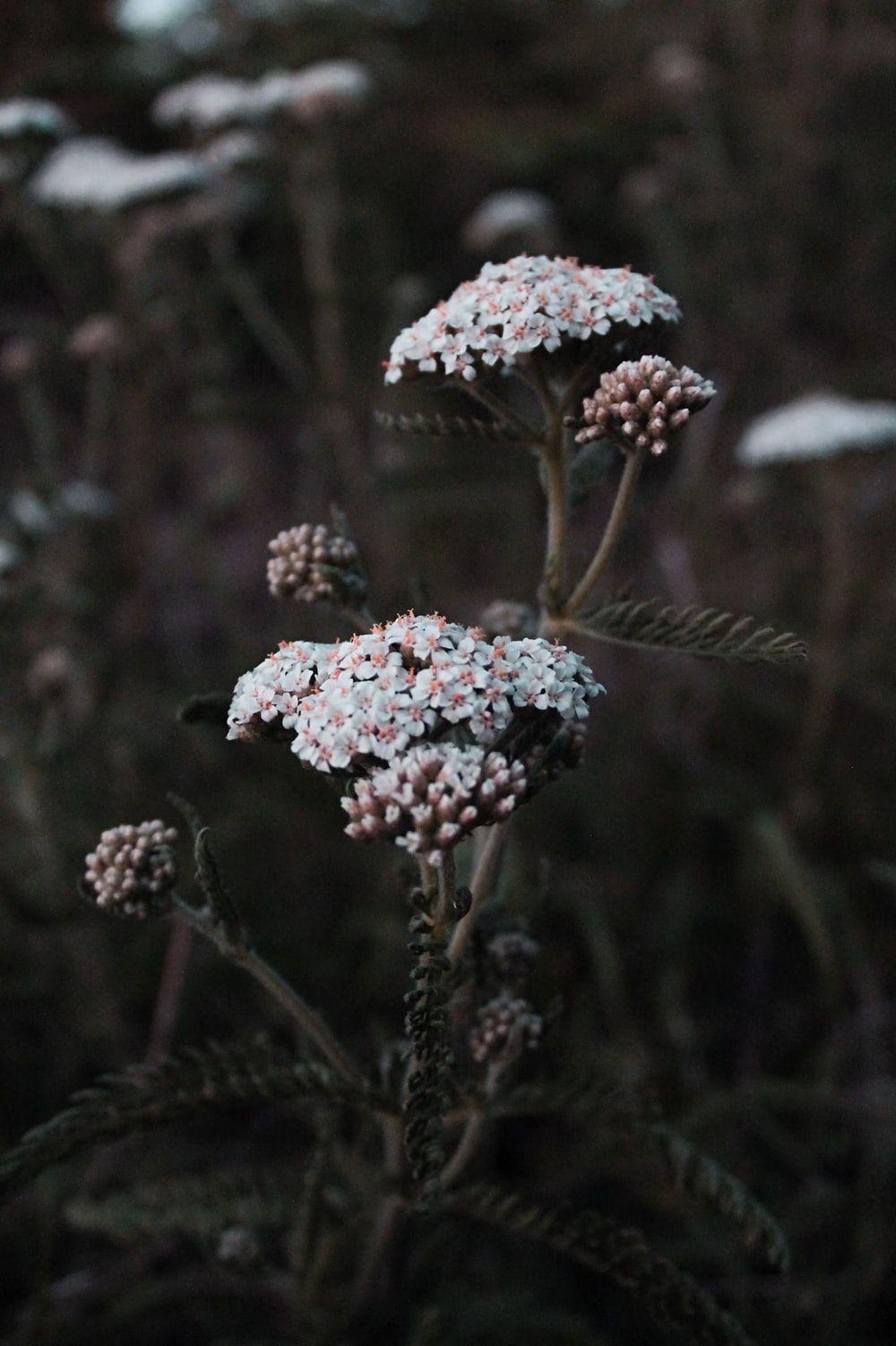 1000x1502 Grunge Aesthetic Picture. Download .com